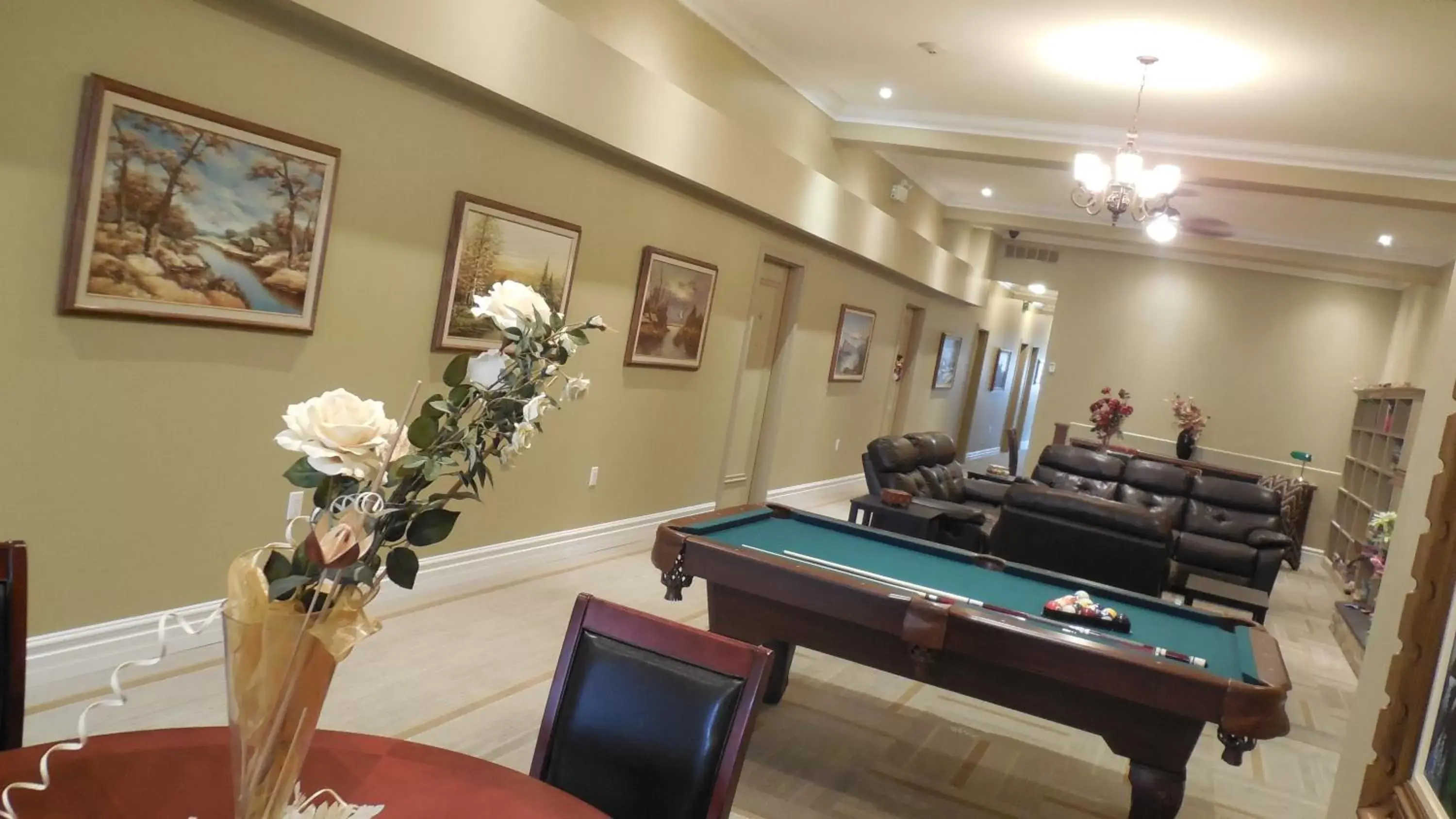 Billiards in Balsam Suites Boutique Inn & Residence