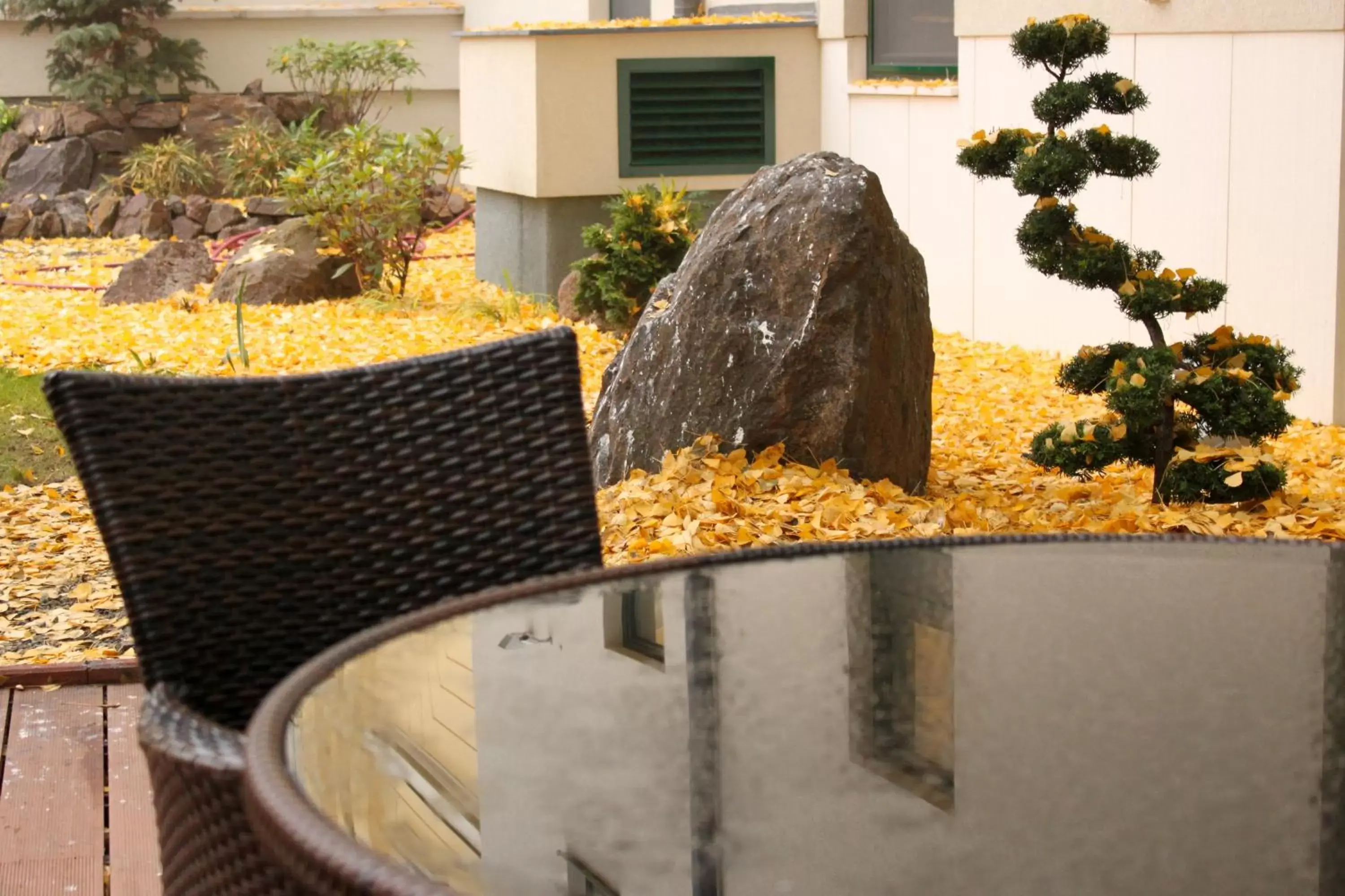 Patio in Hotel Ginkgo