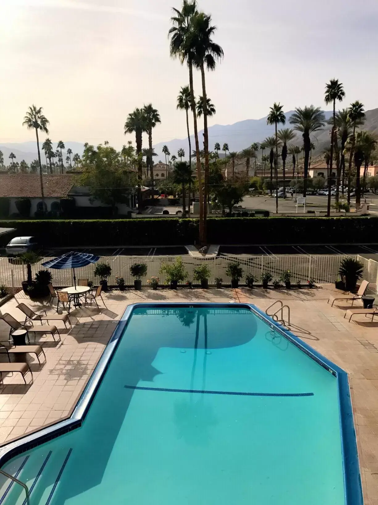 Swimming Pool in Delos Reyes Palm Springs