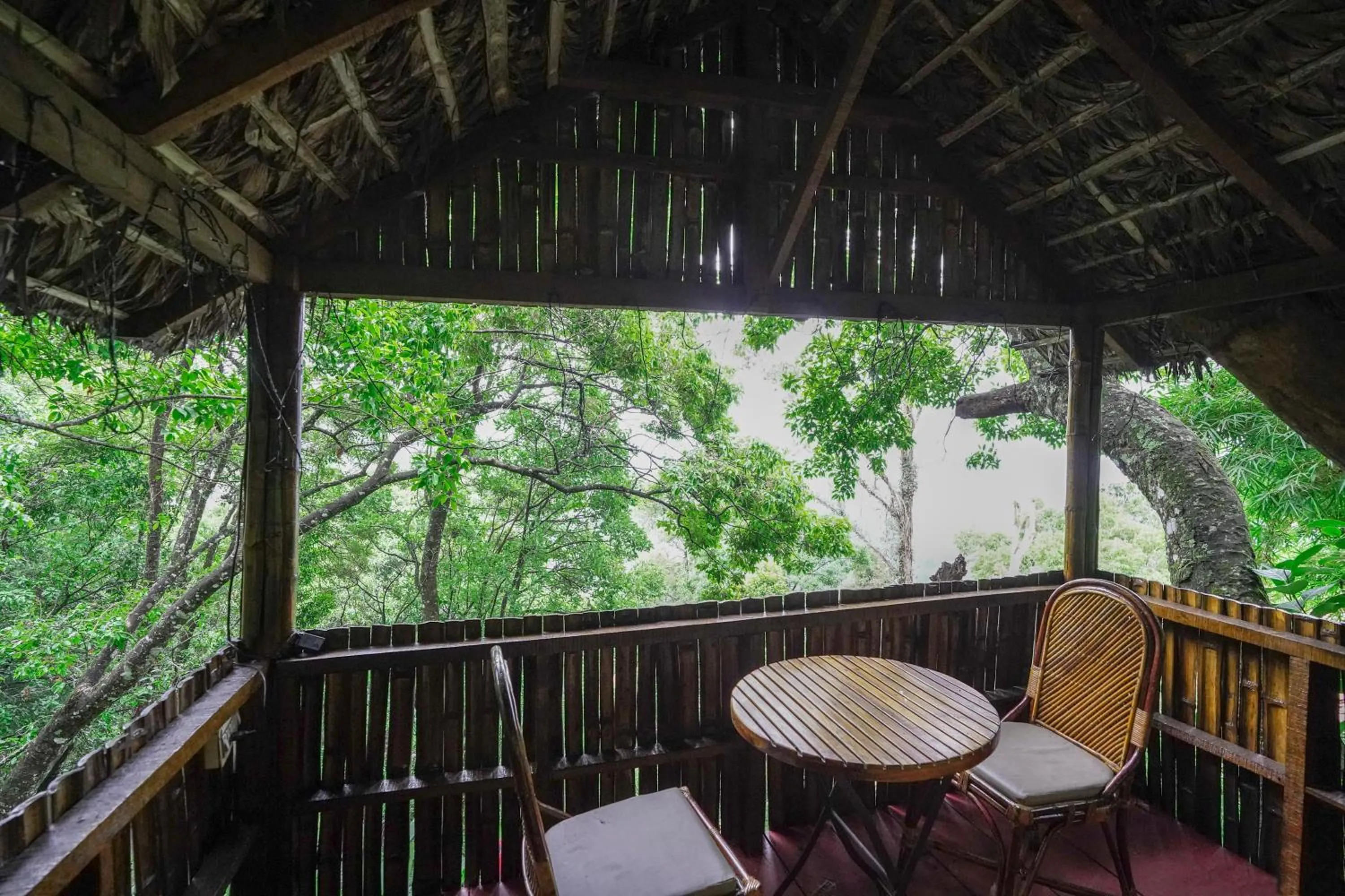 Activities in Tea Valley Resort, Munnar