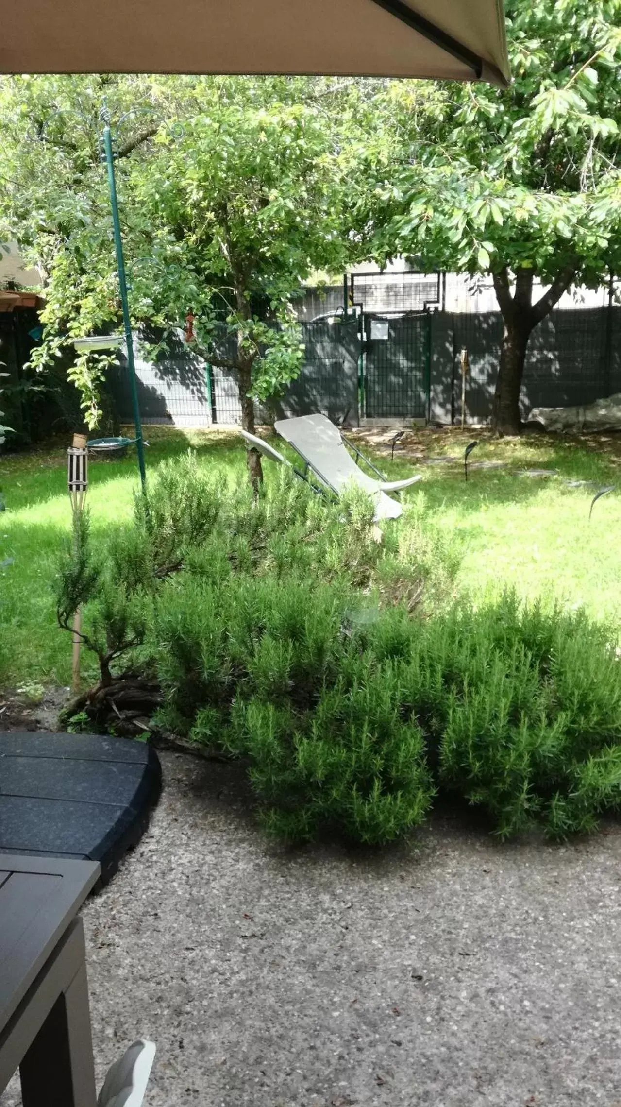 Garden in La Closerie aux Violettes - Maison d'hôtes