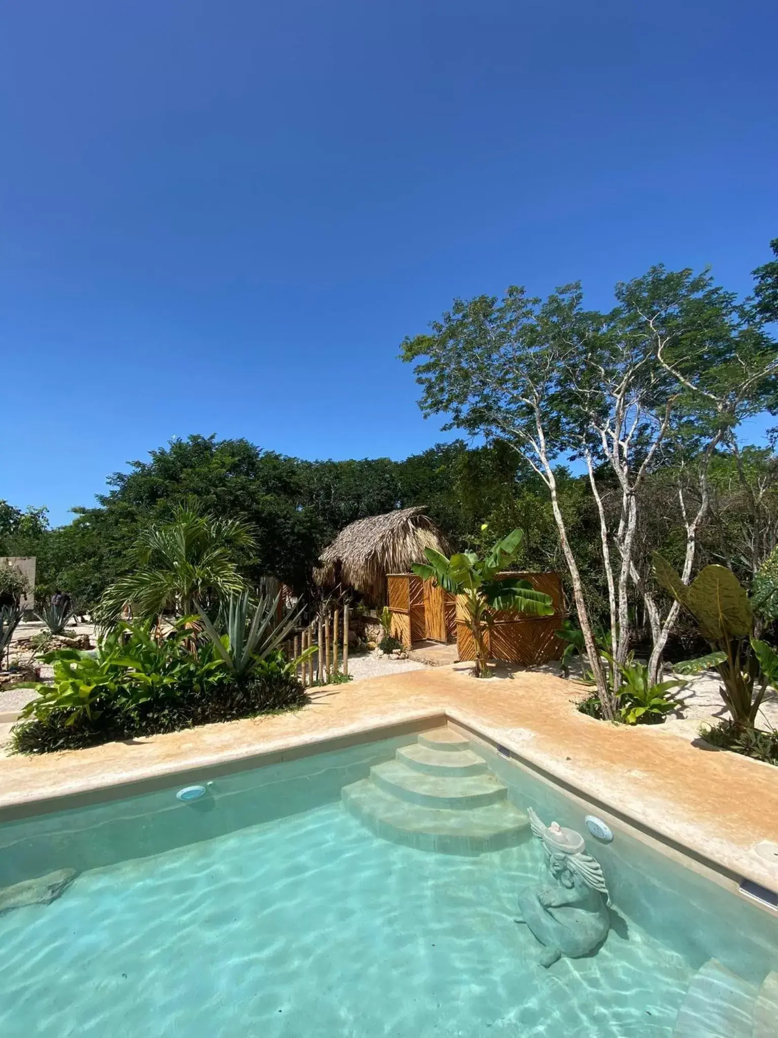 Natural landscape, Swimming Pool in RESET ATEMPORAL