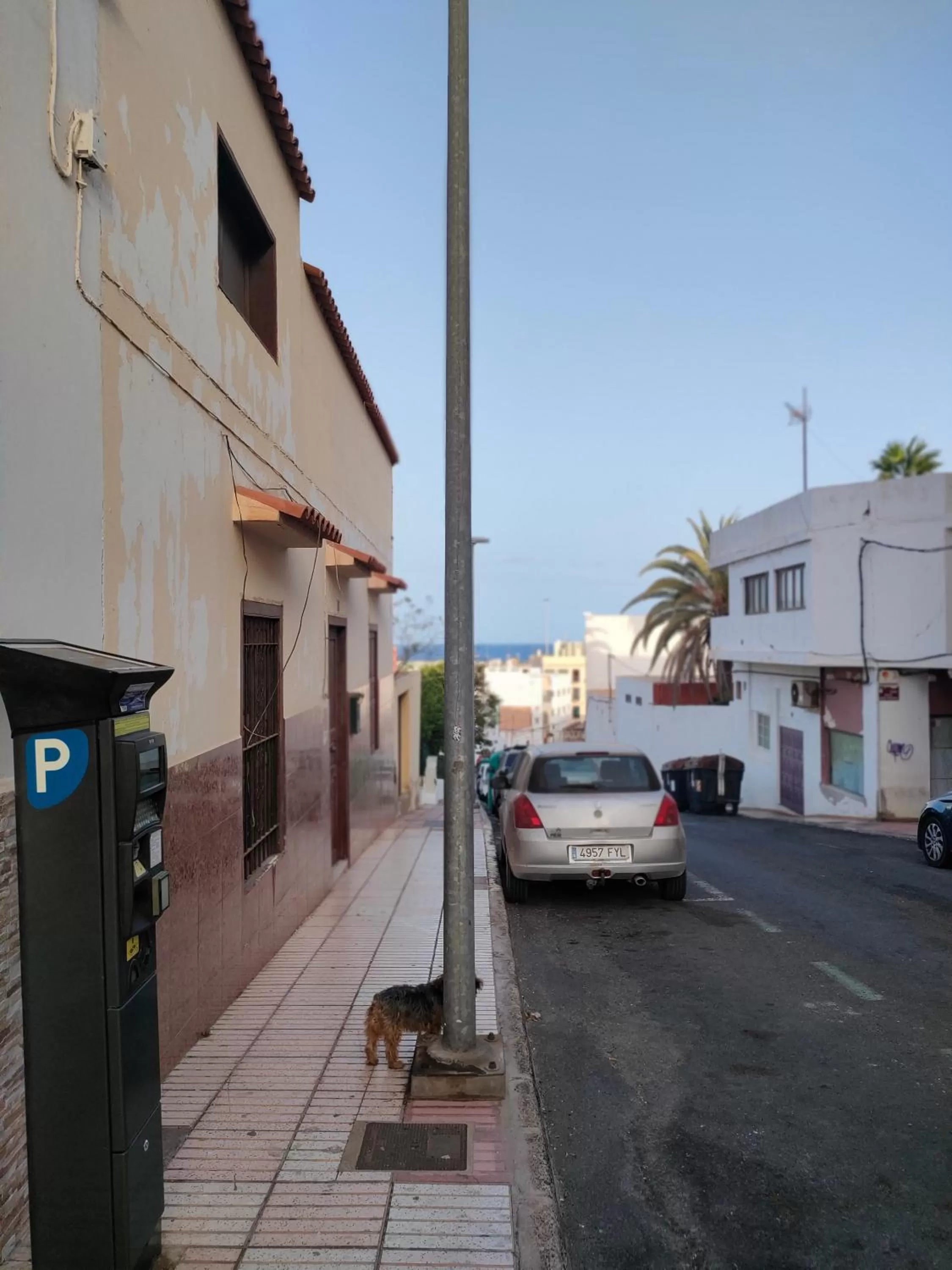 Neighbourhood in Alba 2 apartamento y Alba 3 habitación con baño