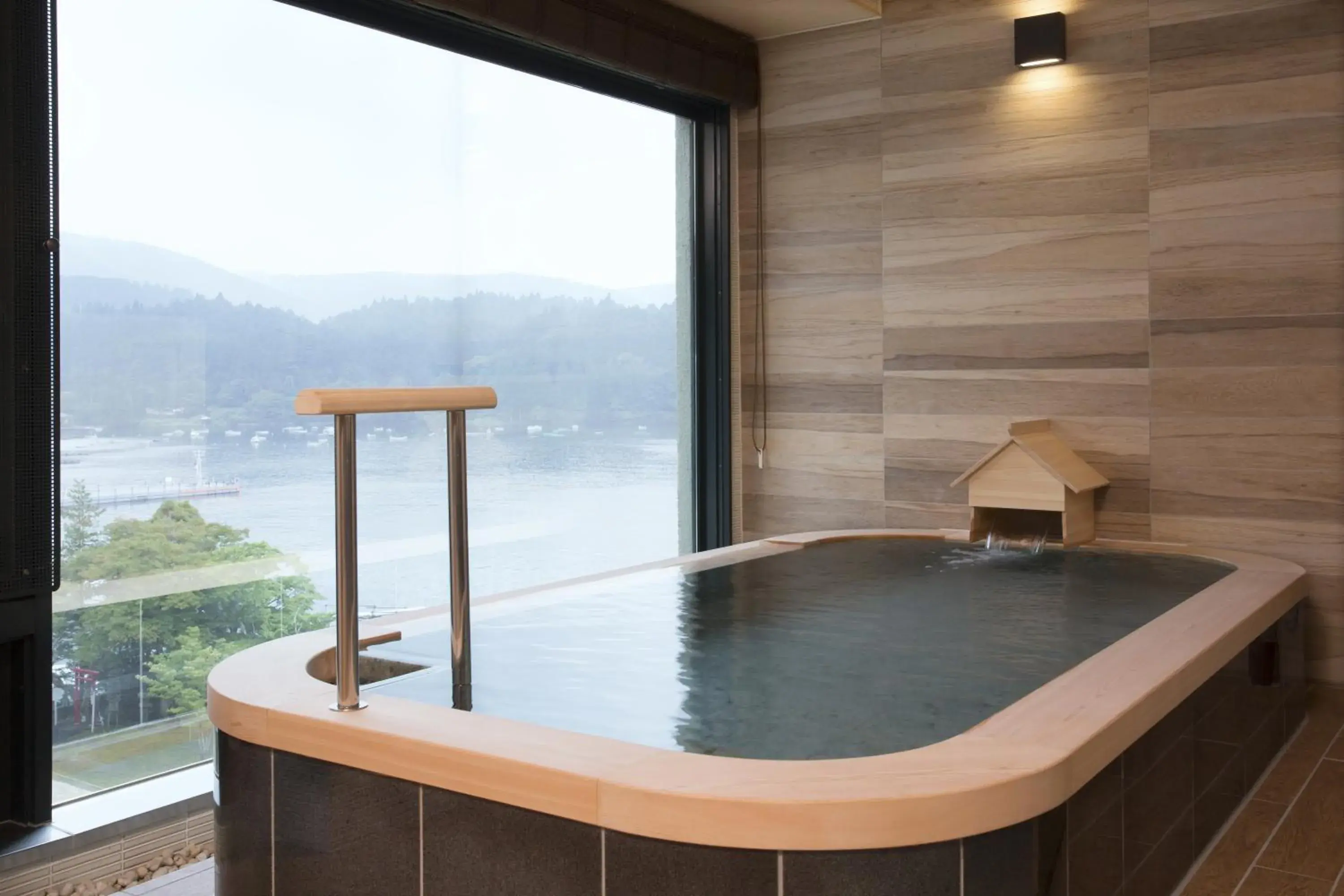 Hot Spring Bath, Swimming Pool in Hakone Hotel