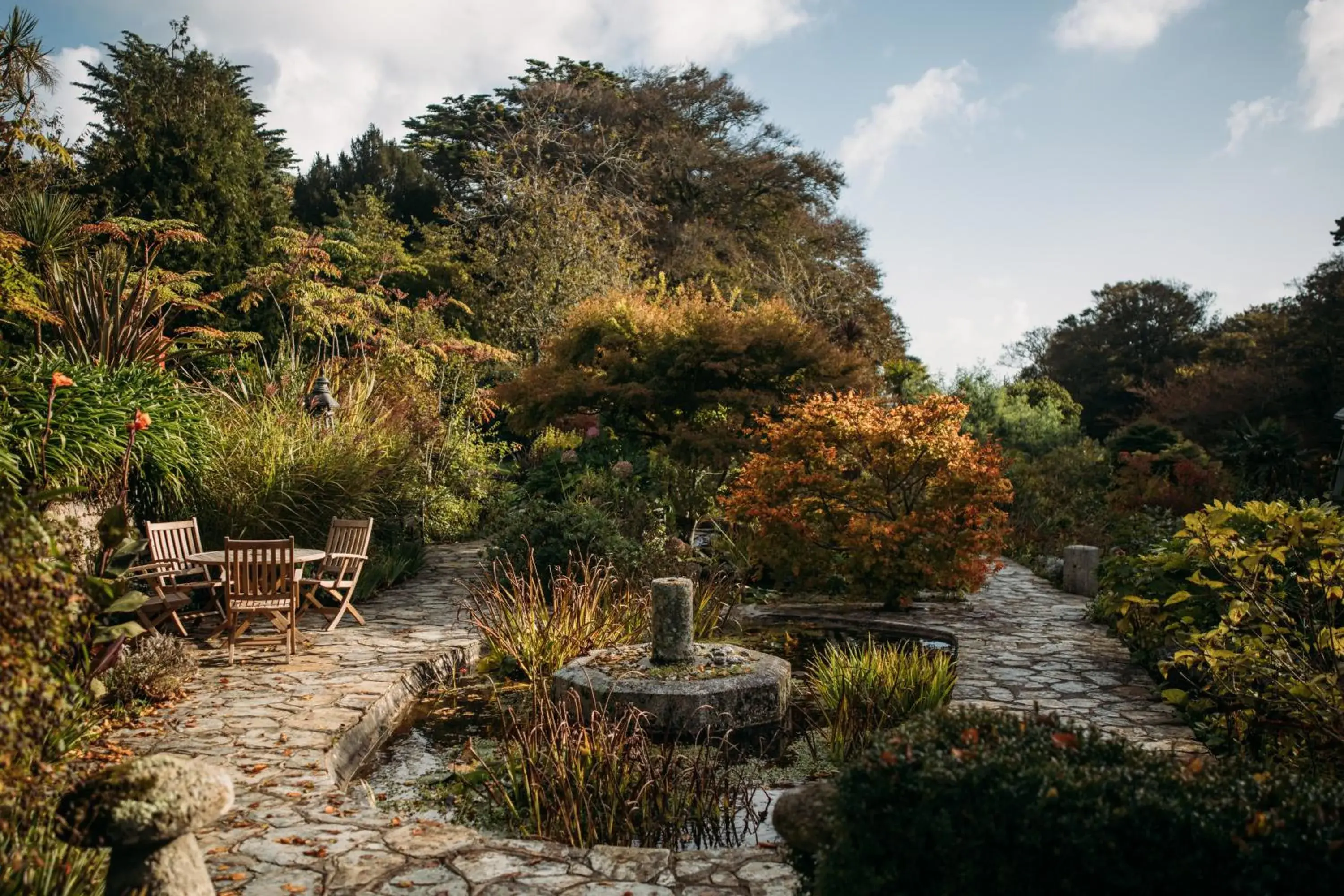 Garden in Hotel Meudon