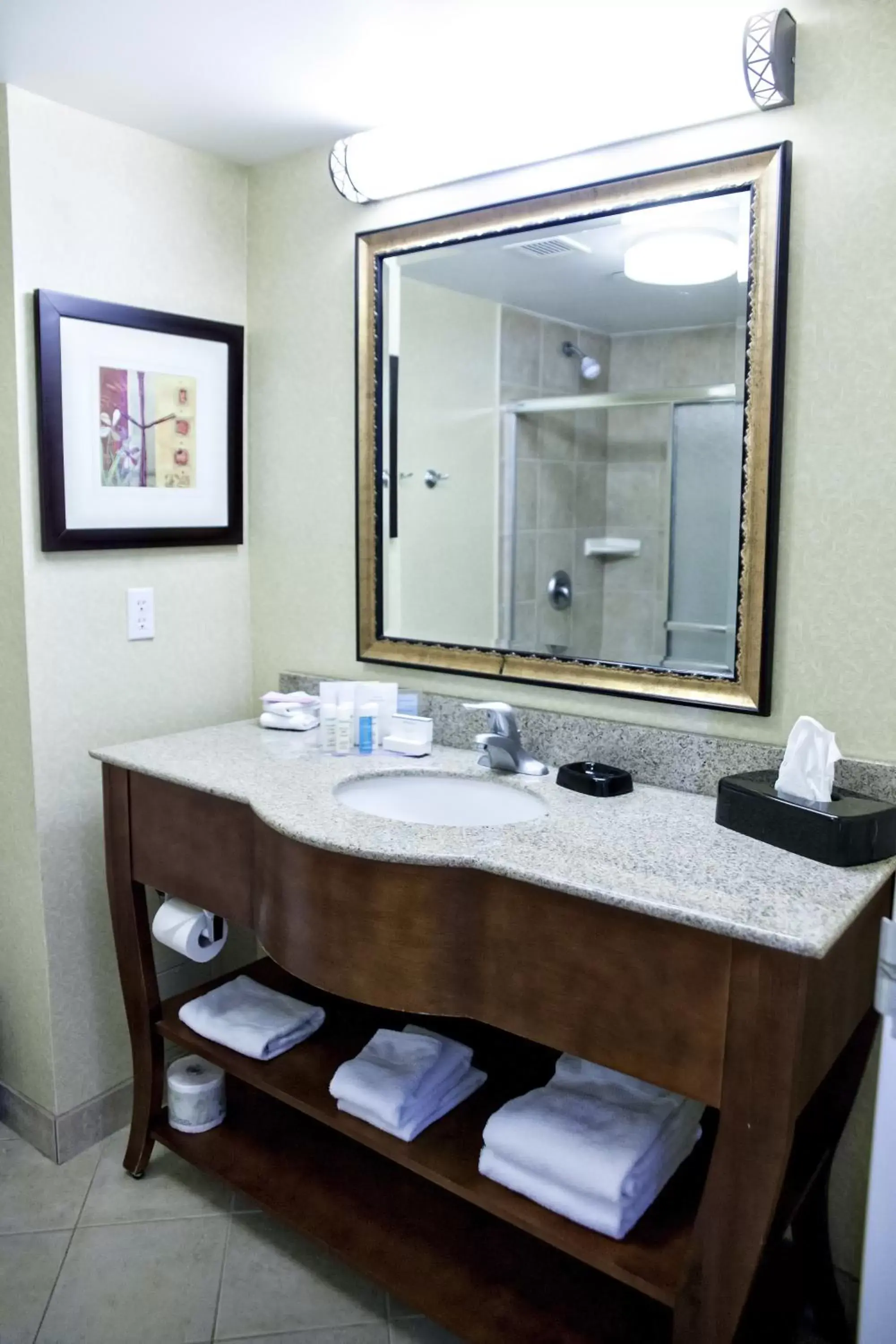 Bathroom in Kitchener Inn & Suites