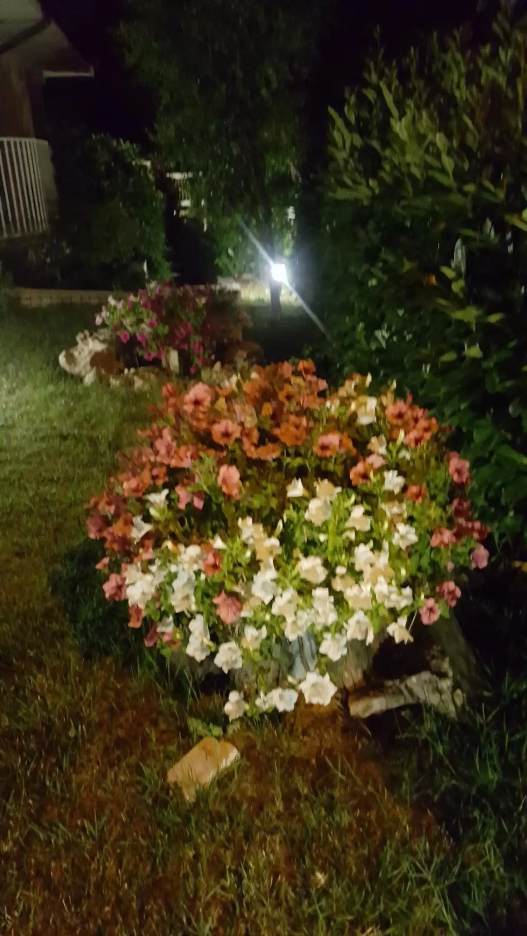 Decorative detail, Garden in Villa Gioia Rooms