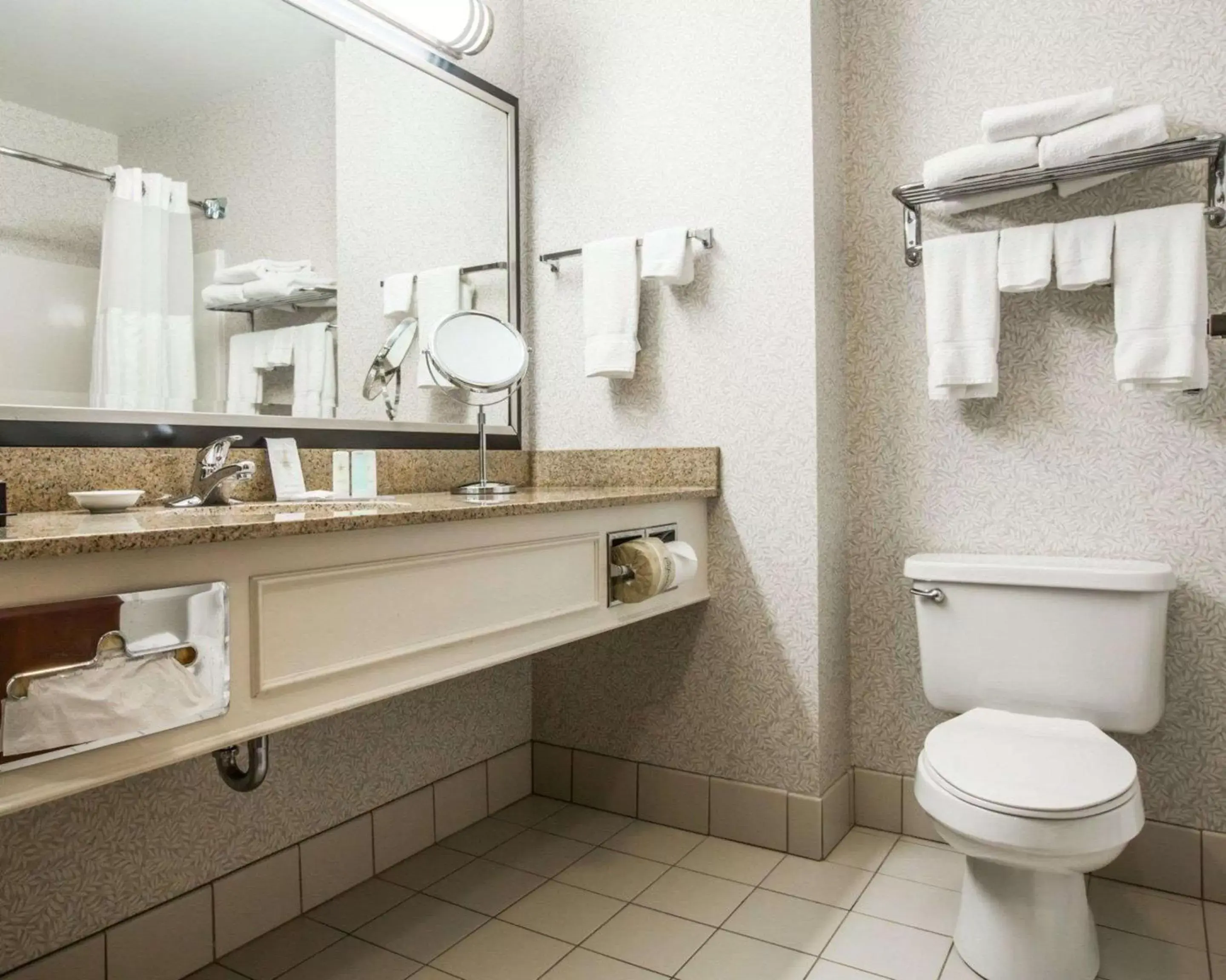 Toilet, Bathroom in Comfort Inn & Suites Near Burke Mountain
