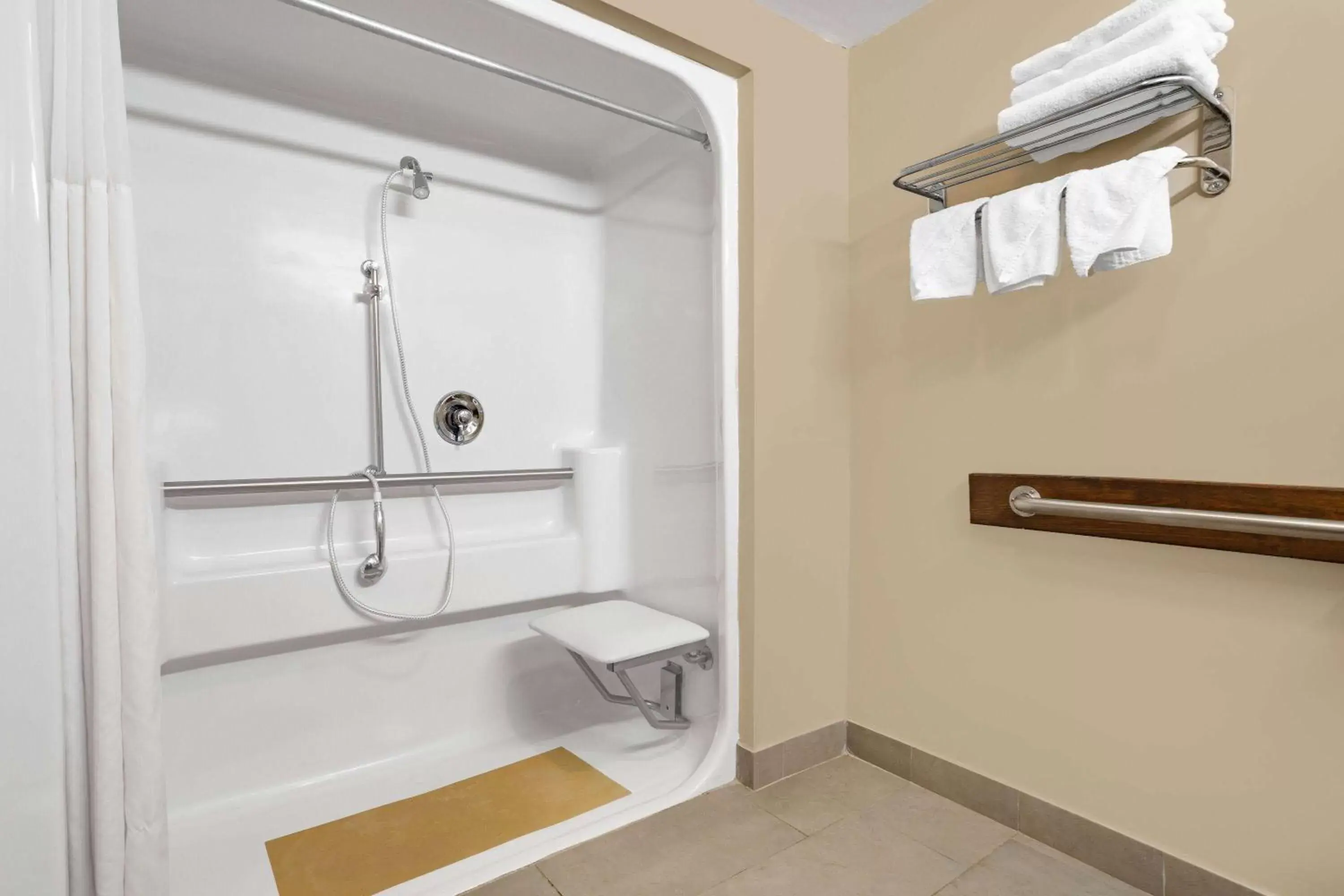 Shower, Bathroom in Ramada by Wyndham Hendersonville