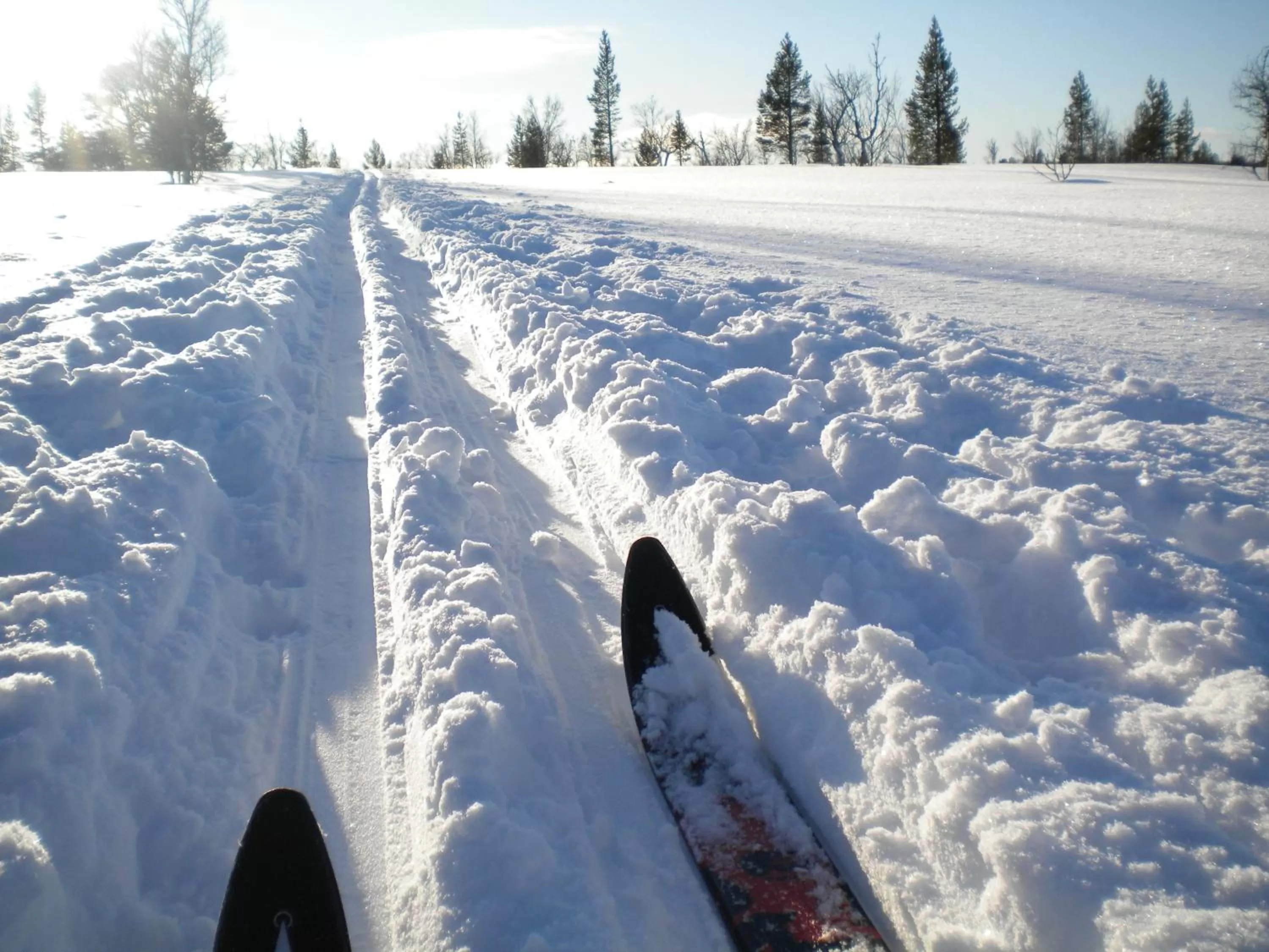 Winter in Unicare Røros Gjesteovernatting