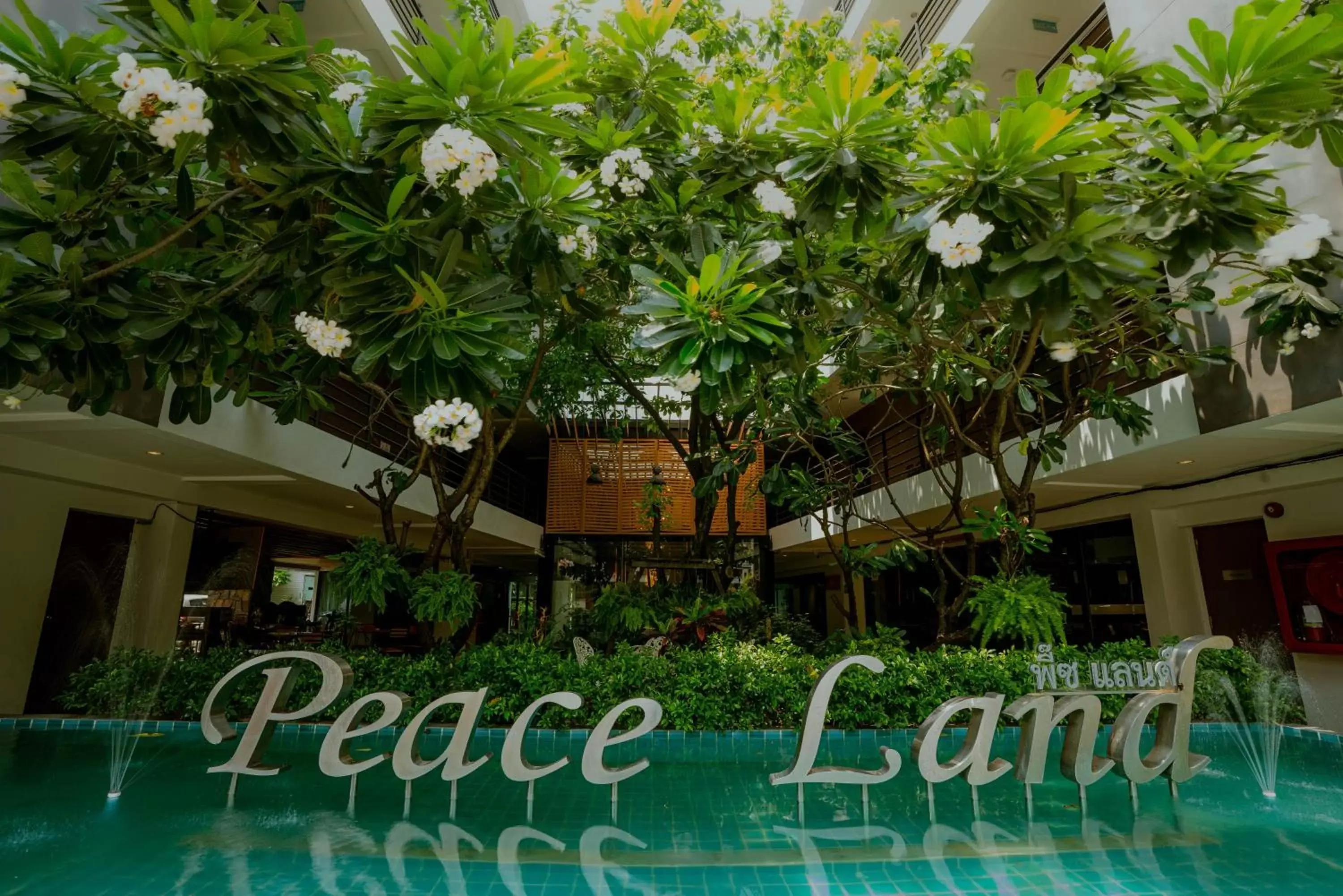 Property logo or sign in Peace Land Khaosan