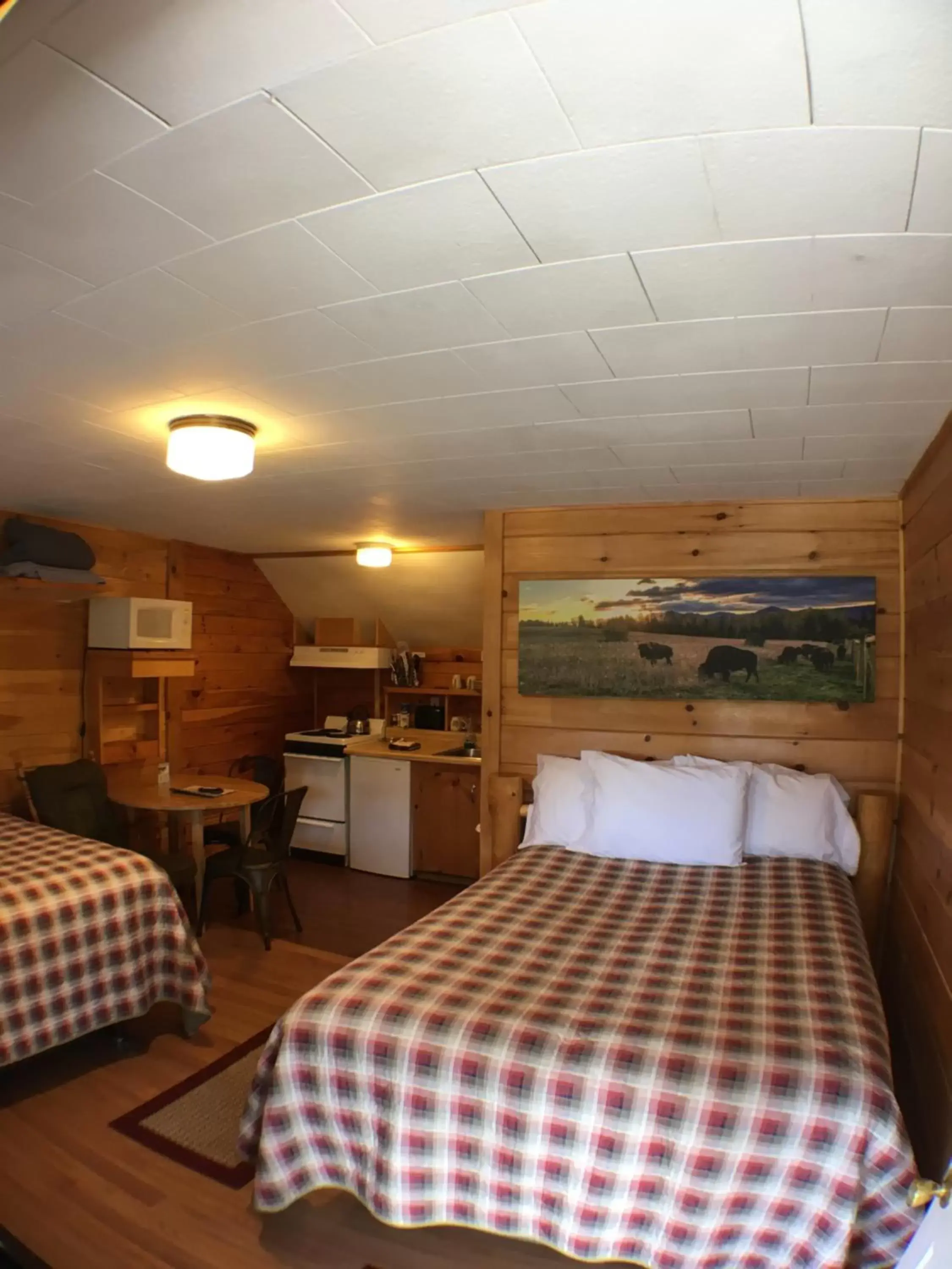 Photo of the whole room, Bed in Mountain View Motel & Campground