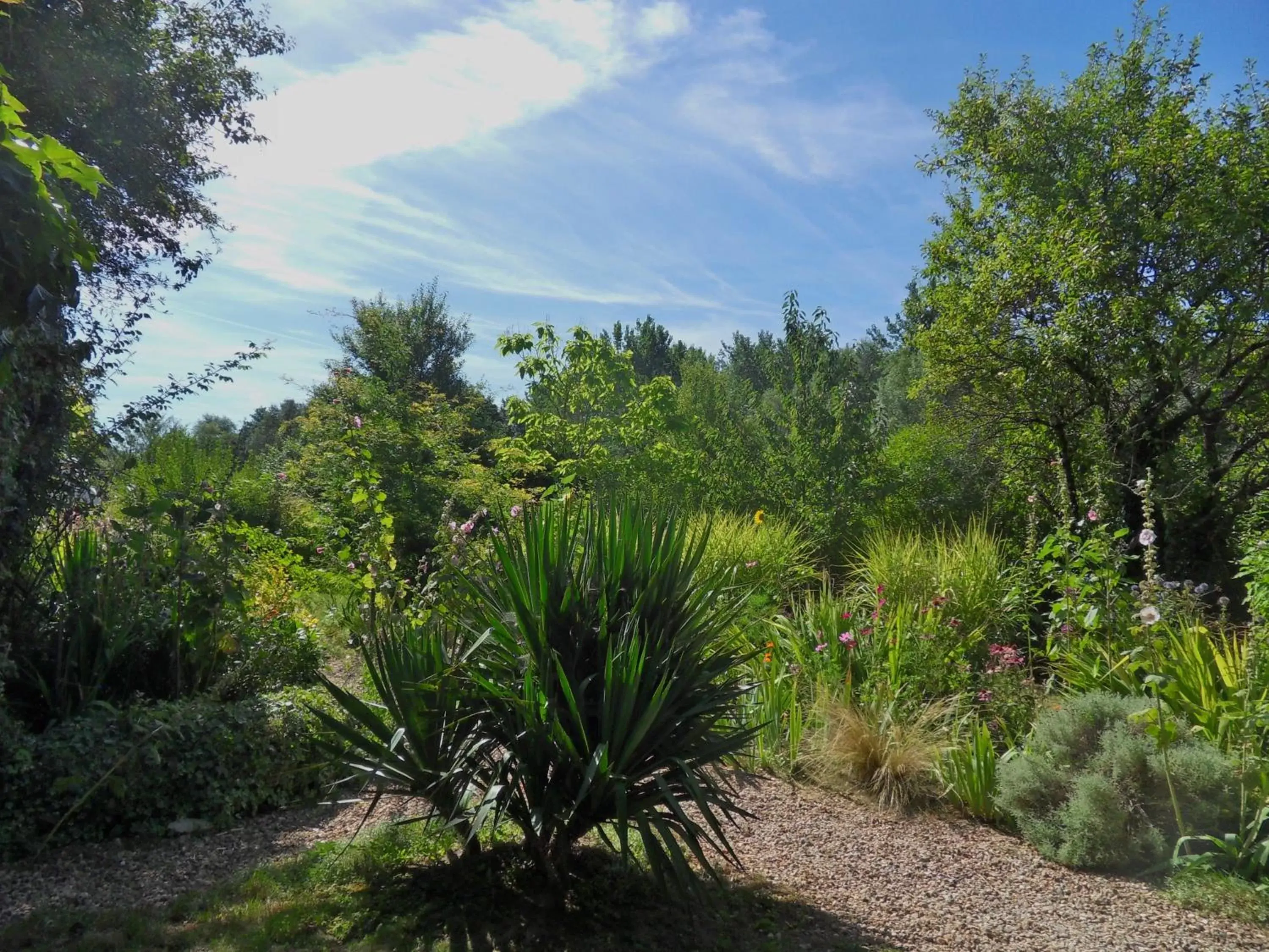 Garden in Troglodelice