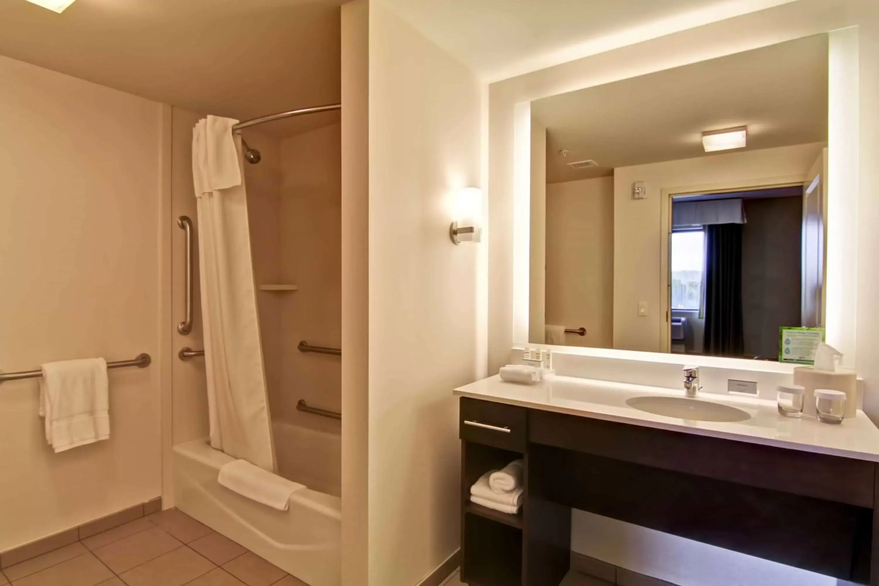 Bathroom in Homewood Suites by Hilton Seattle-Issaquah