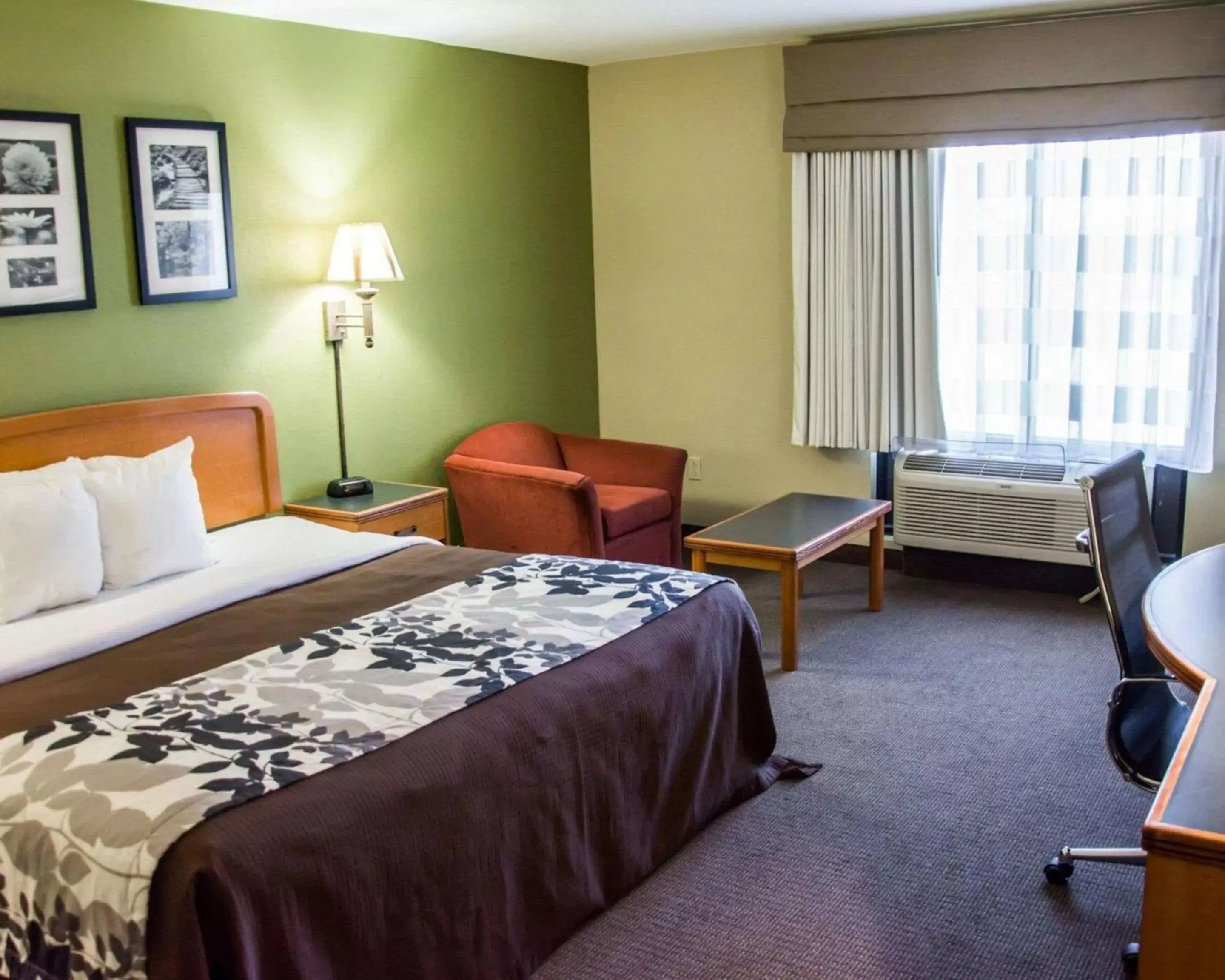 Photo of the whole room, Bed in Sleep Inn & Suites Pineville - Alexandria