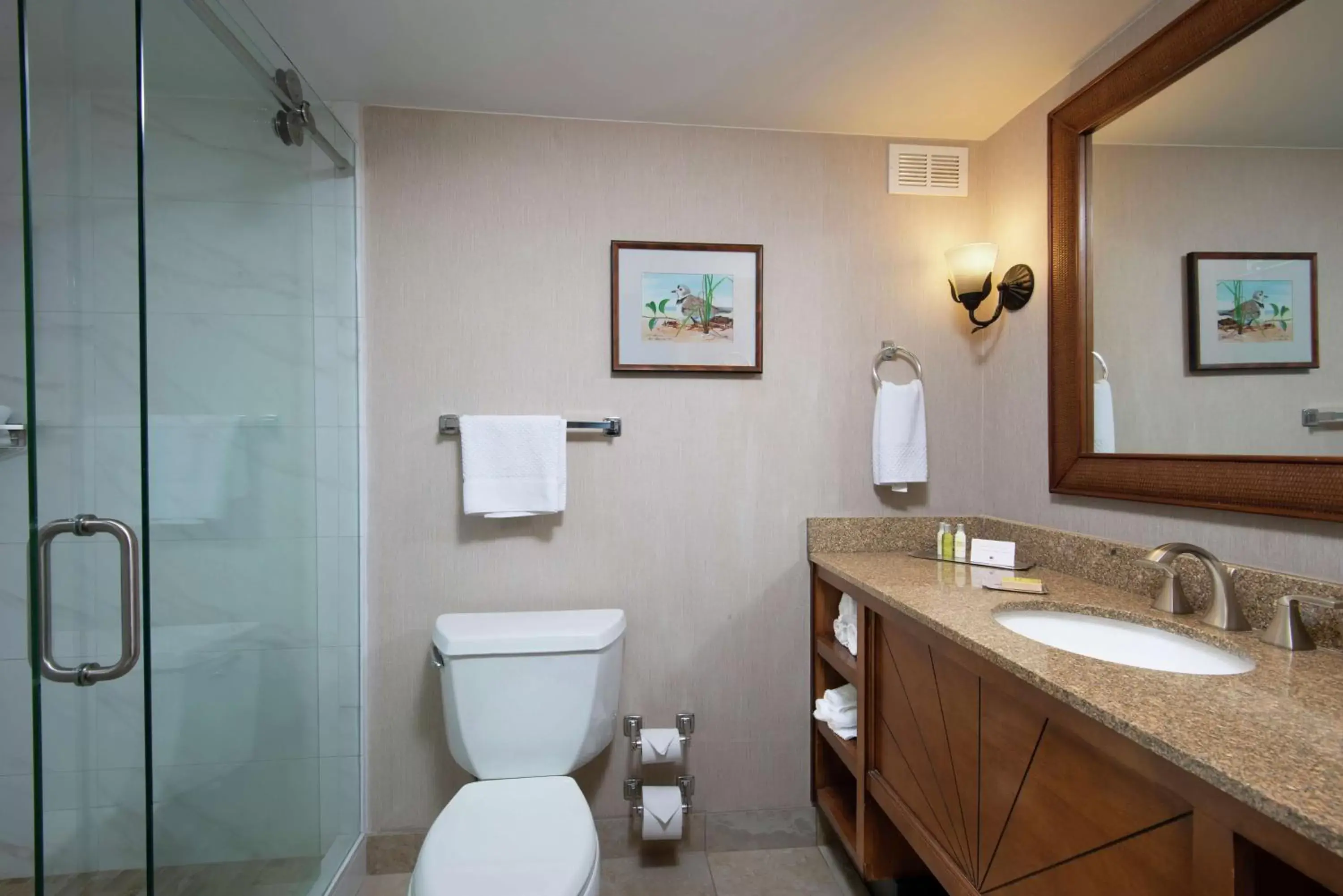 Bathroom in DoubleTree Beach Resort by Hilton Tampa Bay – North Redington Beach