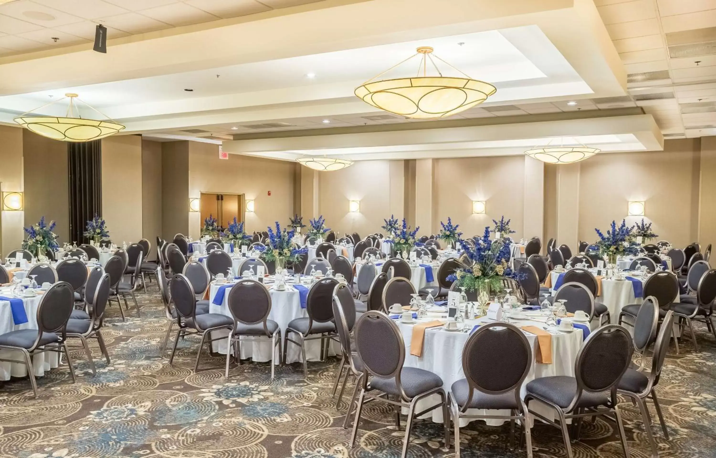 Meeting/conference room, Banquet Facilities in DoubleTree by Hilton Hotel Oak Ridge - Knoxville