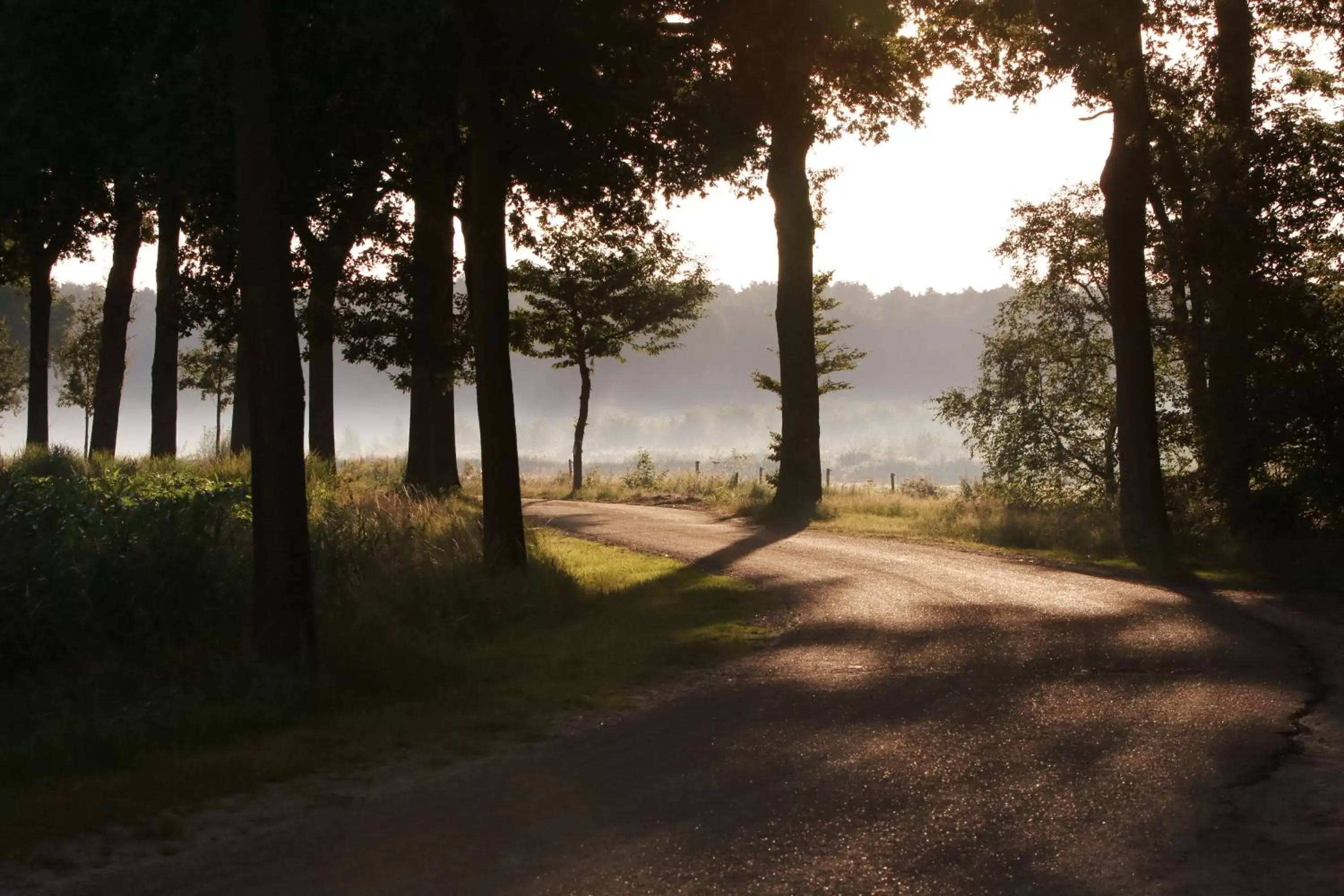 Natural landscape in Bed & Breakfast Neeltje Soet