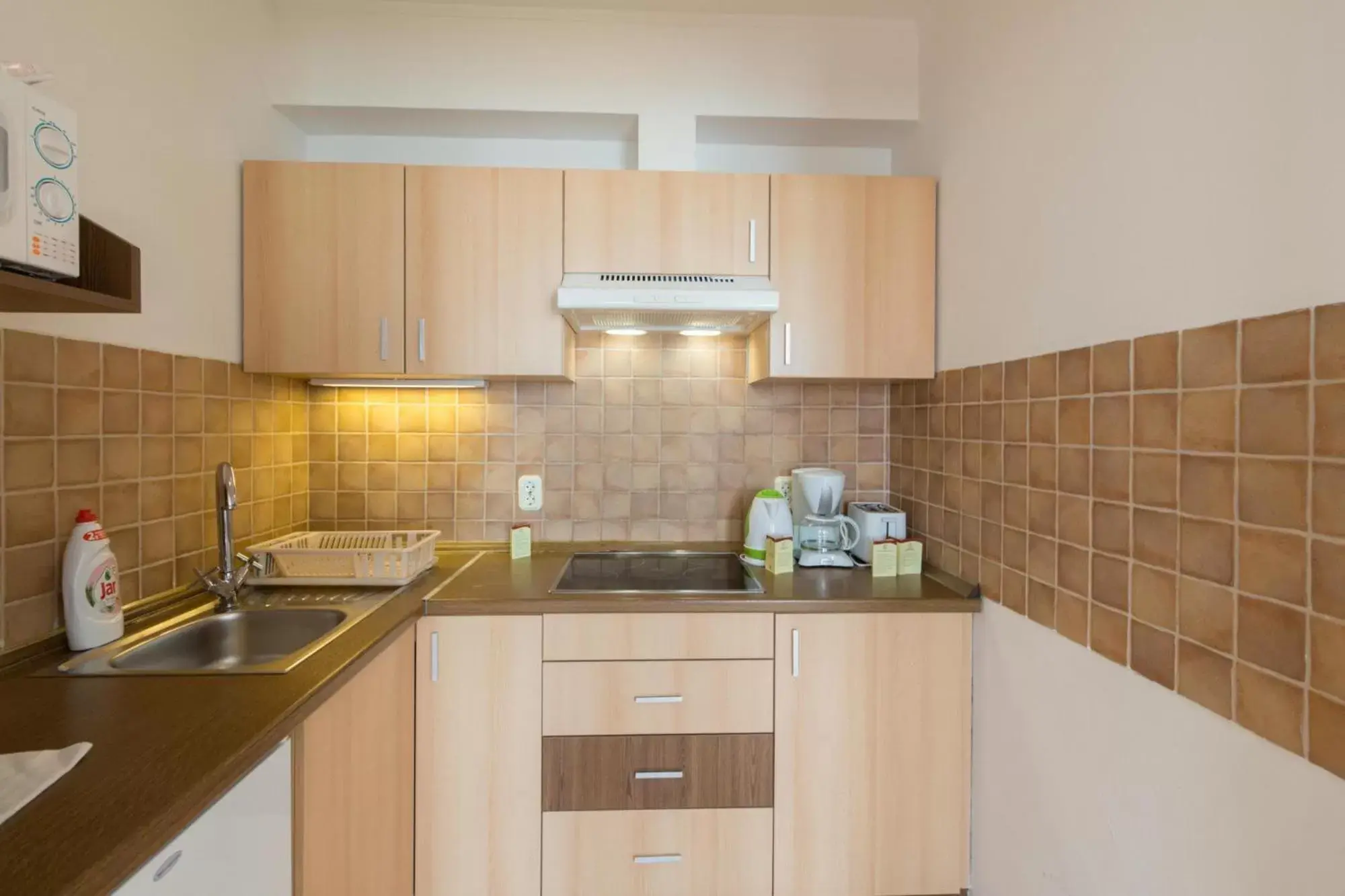 Kitchen or kitchenette, Kitchen/Kitchenette in Premium Apartments