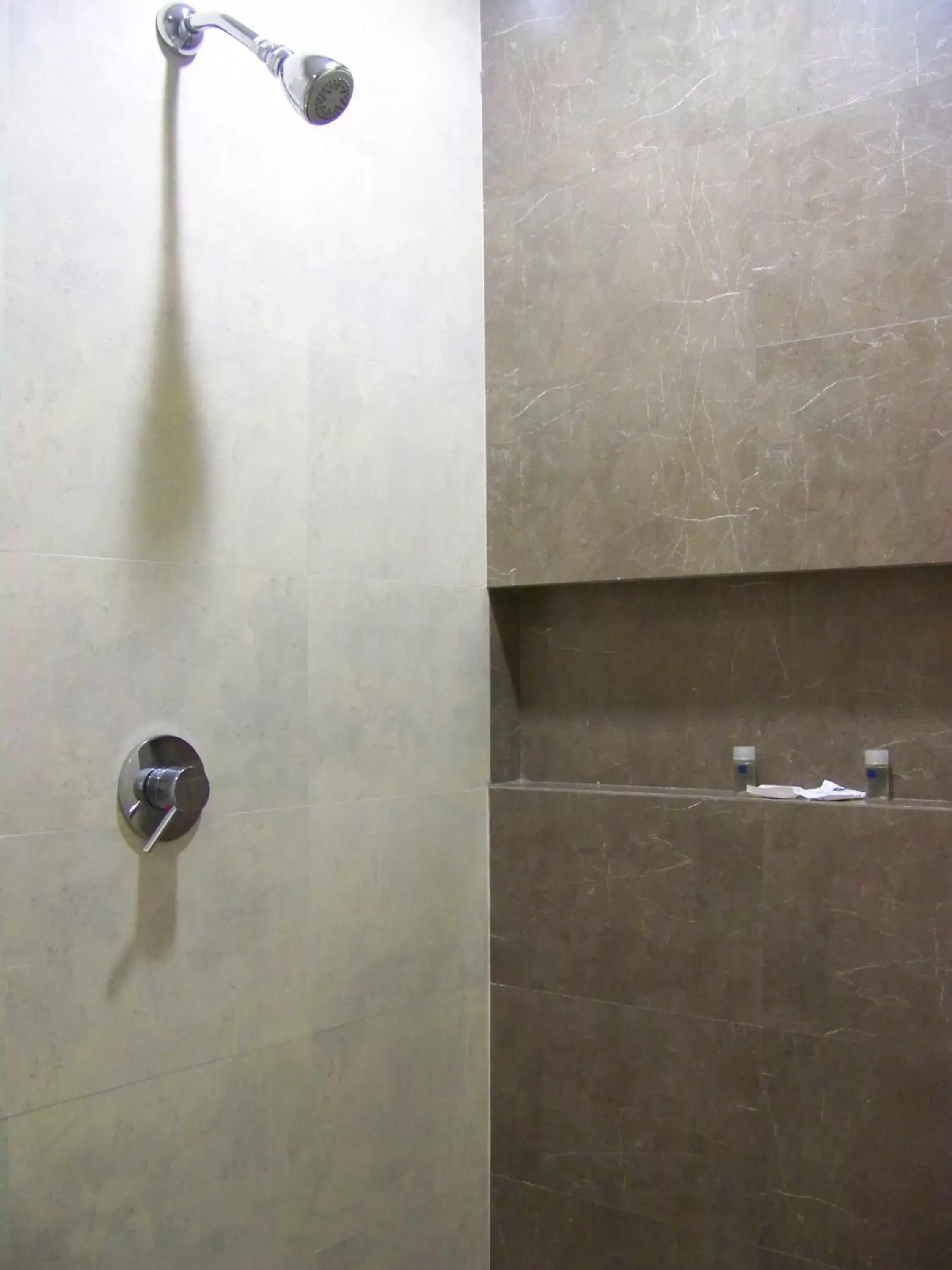 Shower, Bathroom in Hotel Oasis