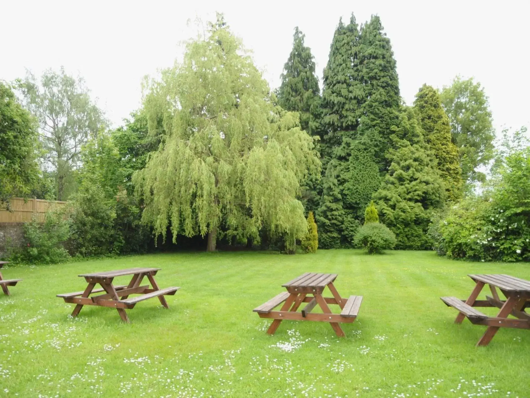 Garden in Wimblehurst Hotel