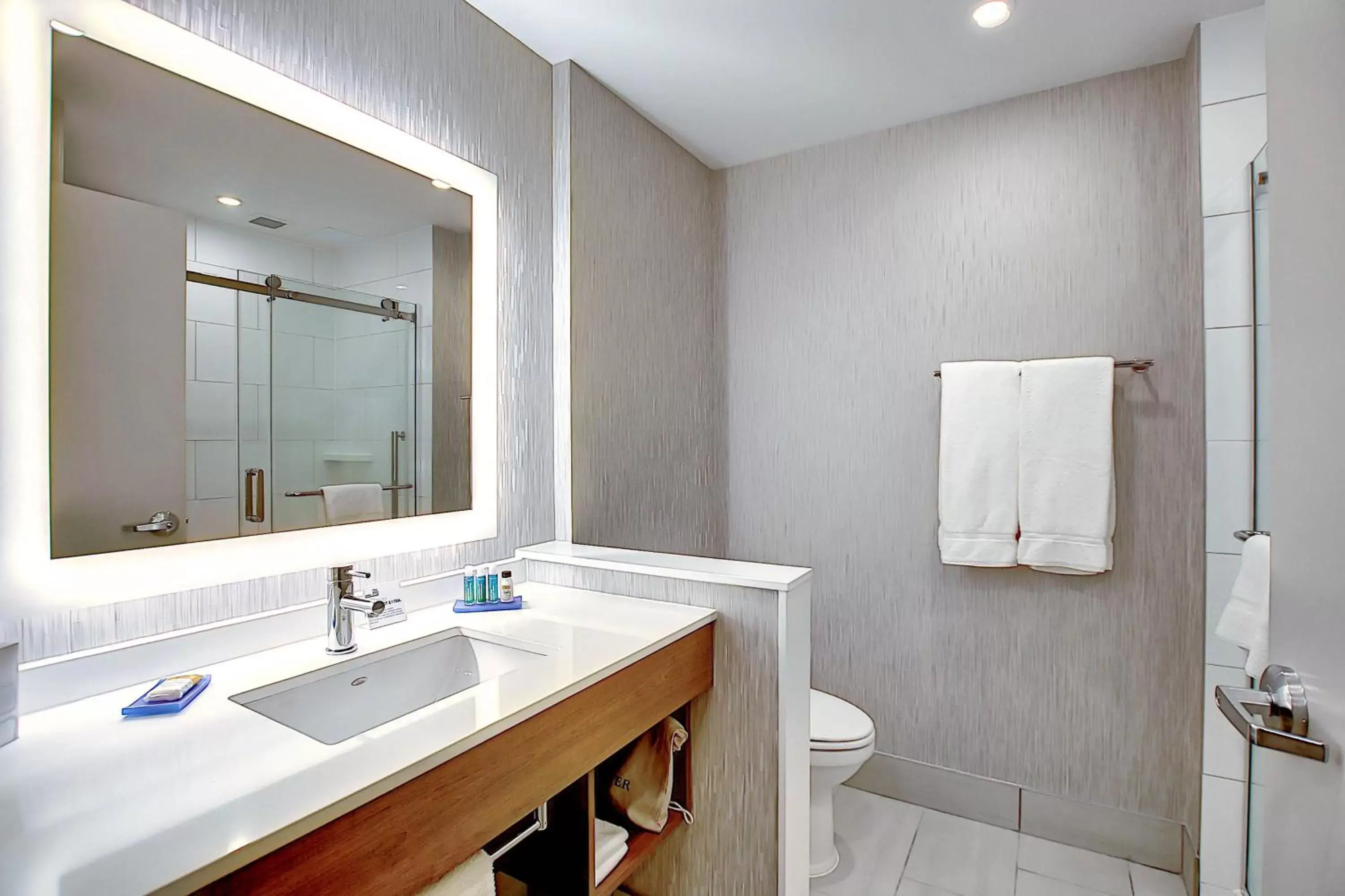 Photo of the whole room, Bathroom in Holiday Inn Express & Suites - Calgary Airport Trail NE, an IHG Hotel