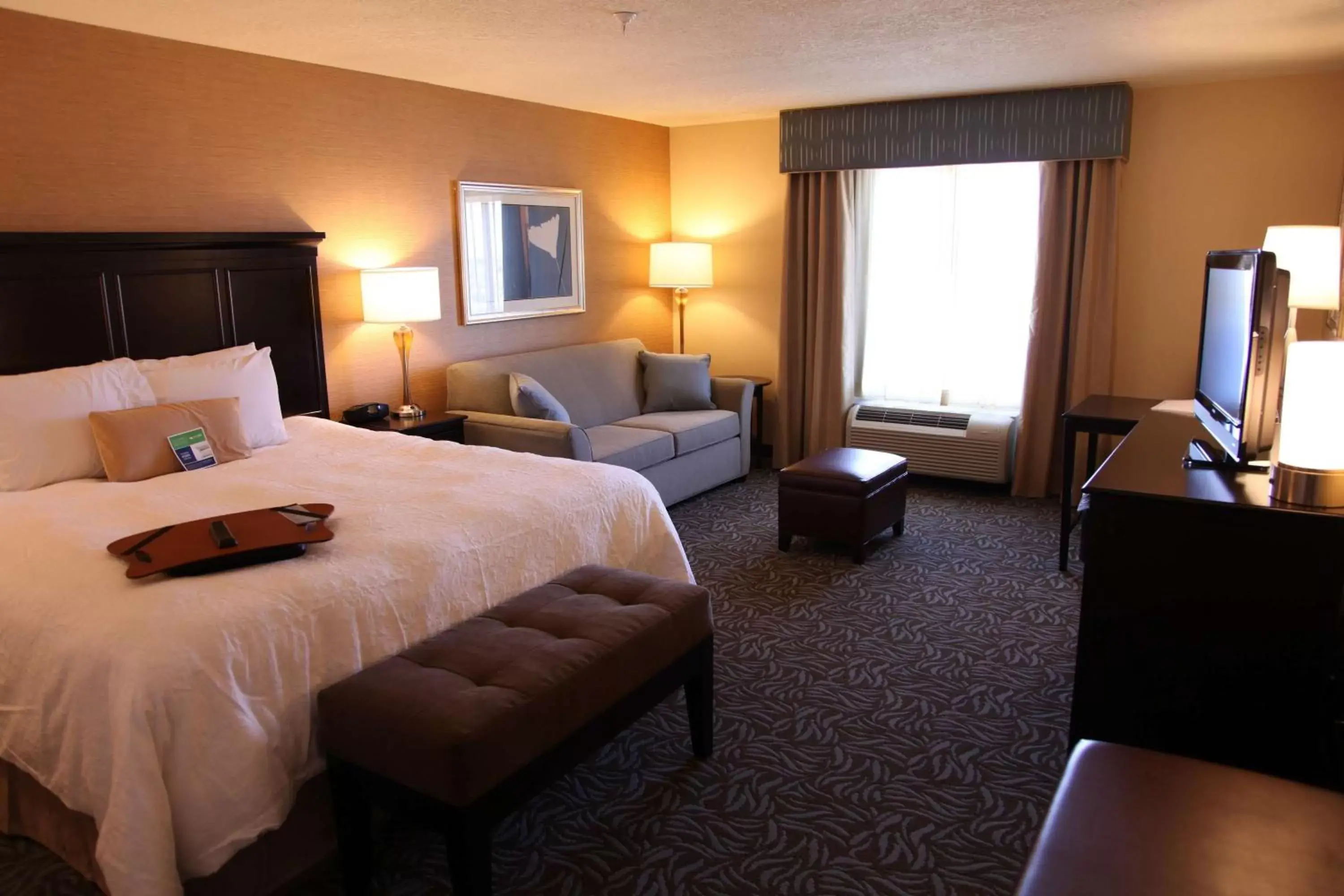 Living room, Bed in Hampton Inn & Suites Carlsbad
