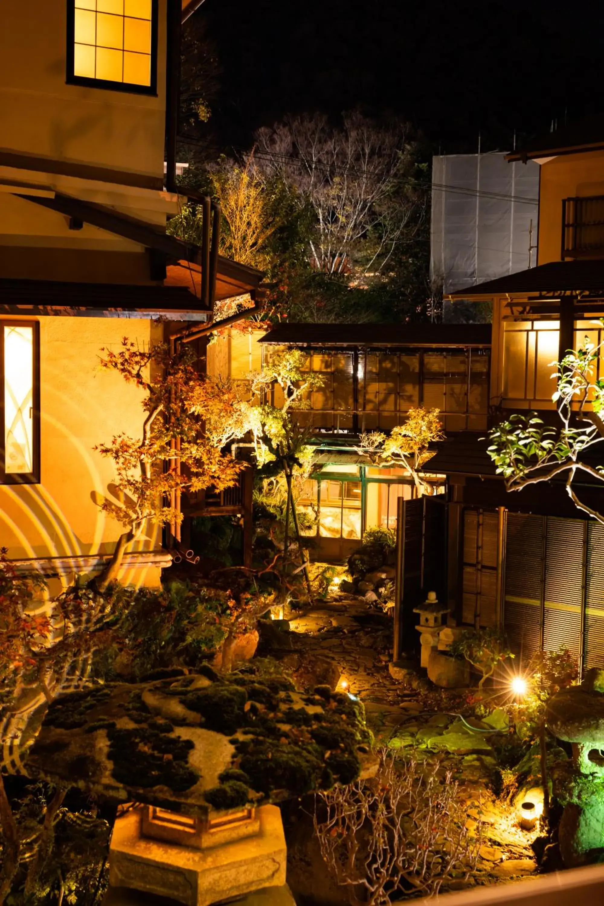 Night, Restaurant/Places to Eat in Hakoneyumoto Onsen Yaeikan