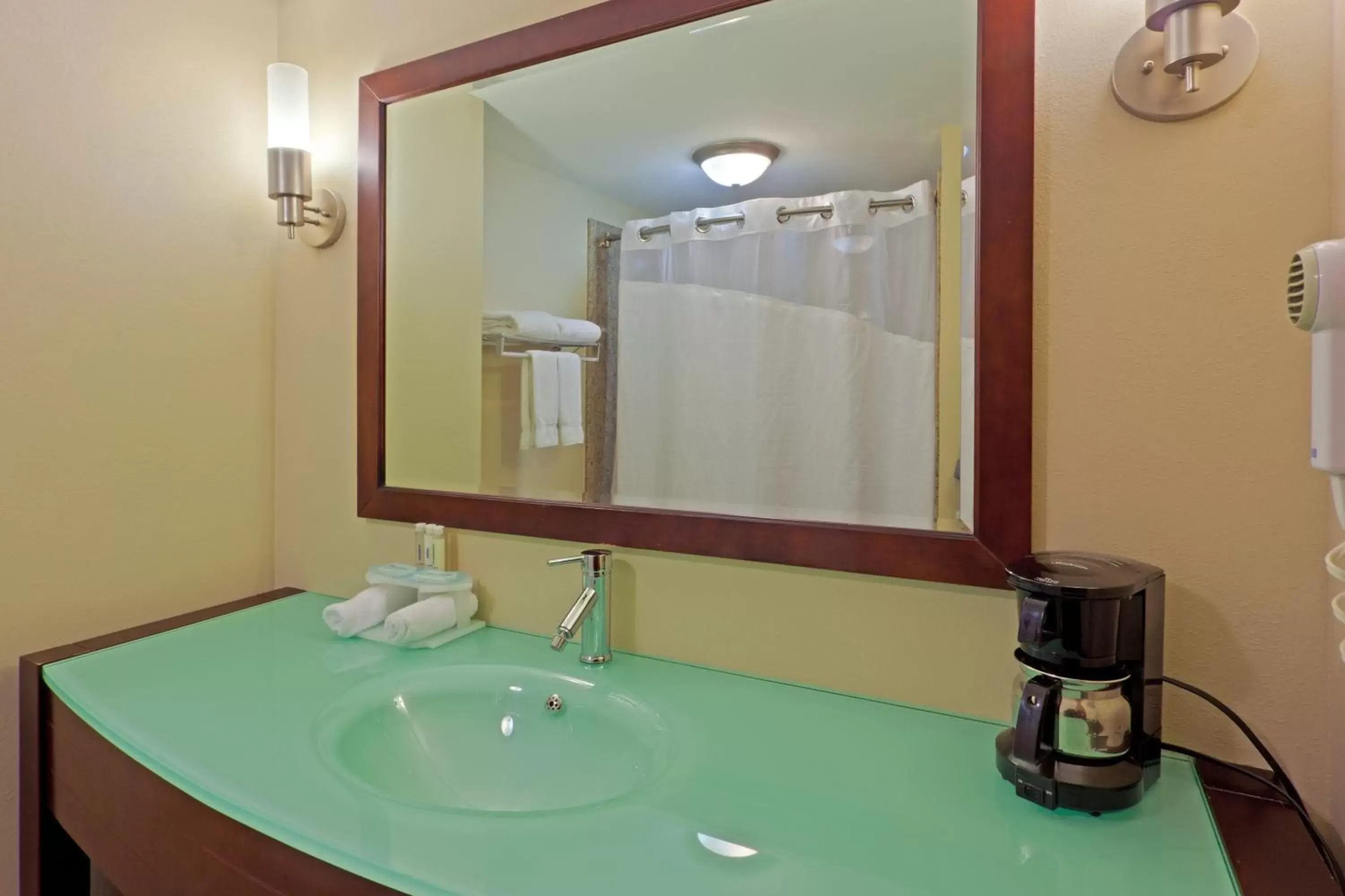 Bathroom in Holiday Inn Express Hotel & Suites Charleston-Southridge, an IHG Hotel
