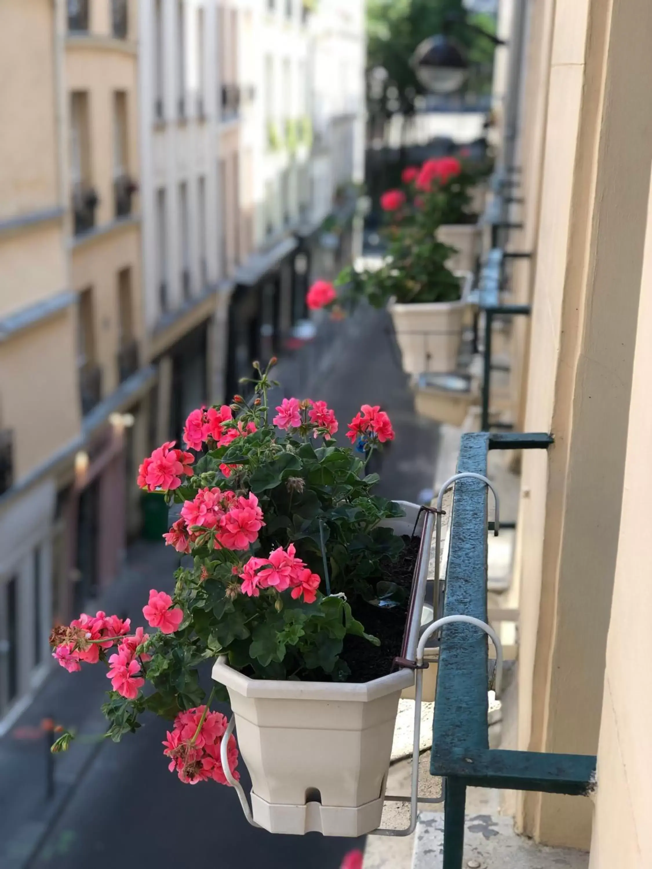 City view, Balcony/Terrace in Hôtel Du Vieux Saule