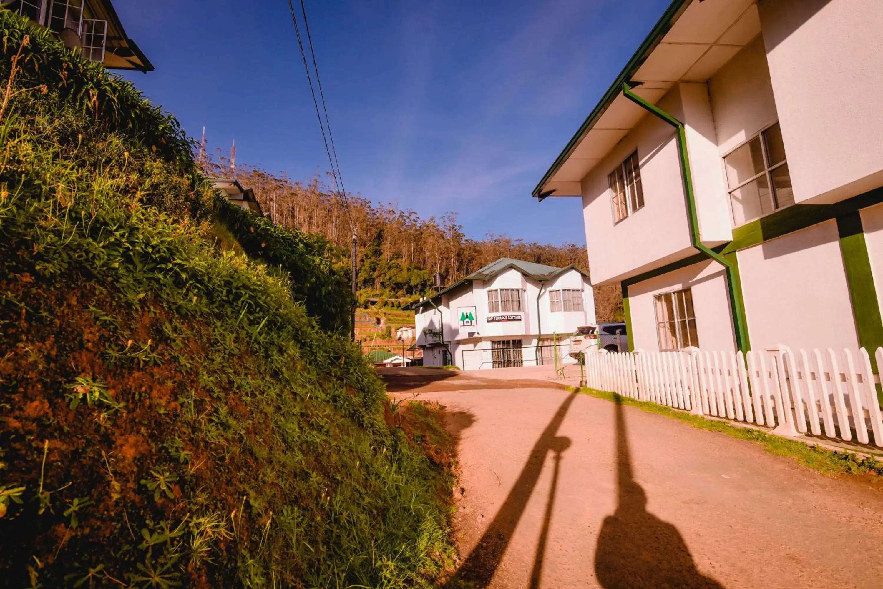 Property Building in Forest View Lodge