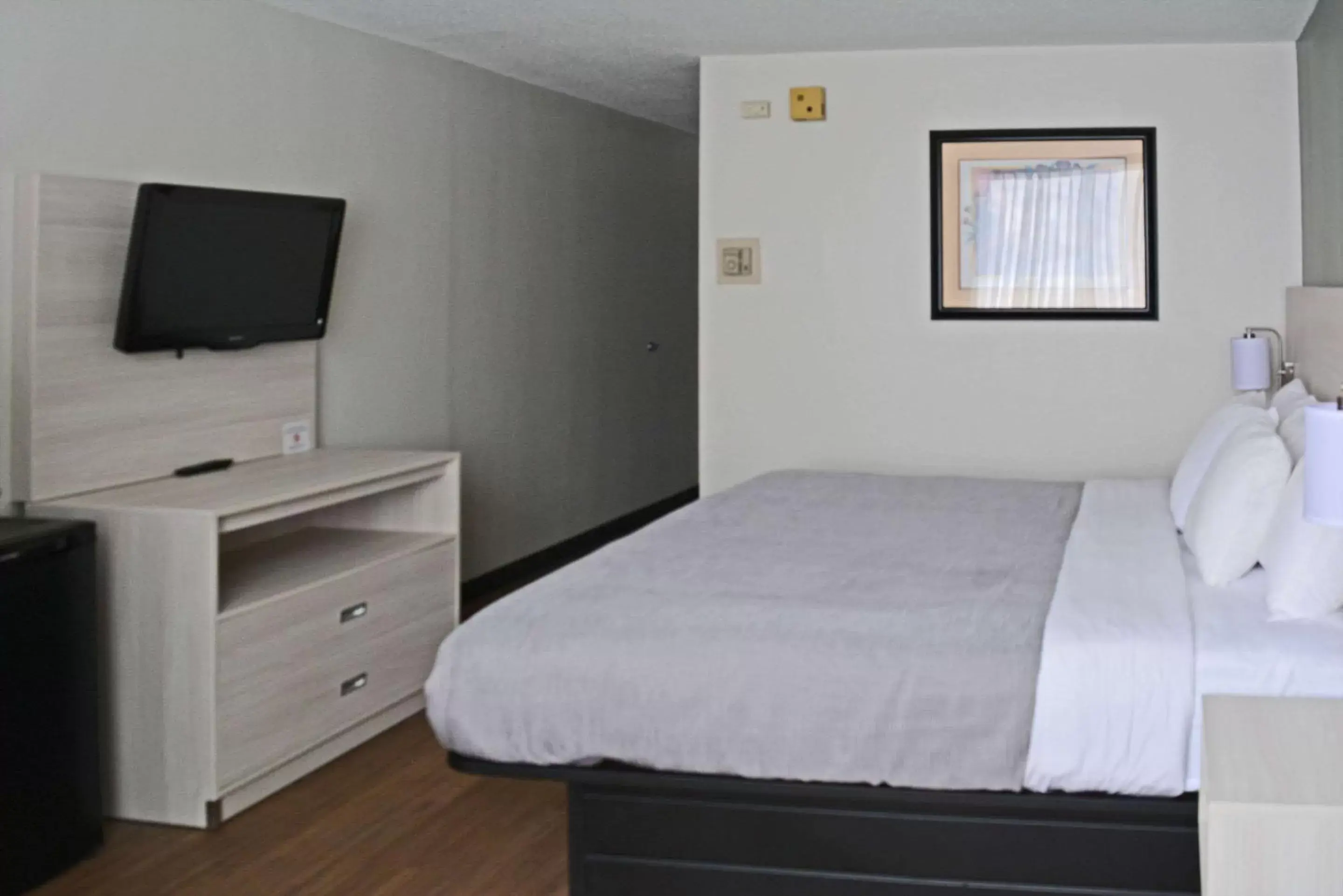 Bedroom, Bed in Quality Inn & Suites East Syracuse - Carrier Circle