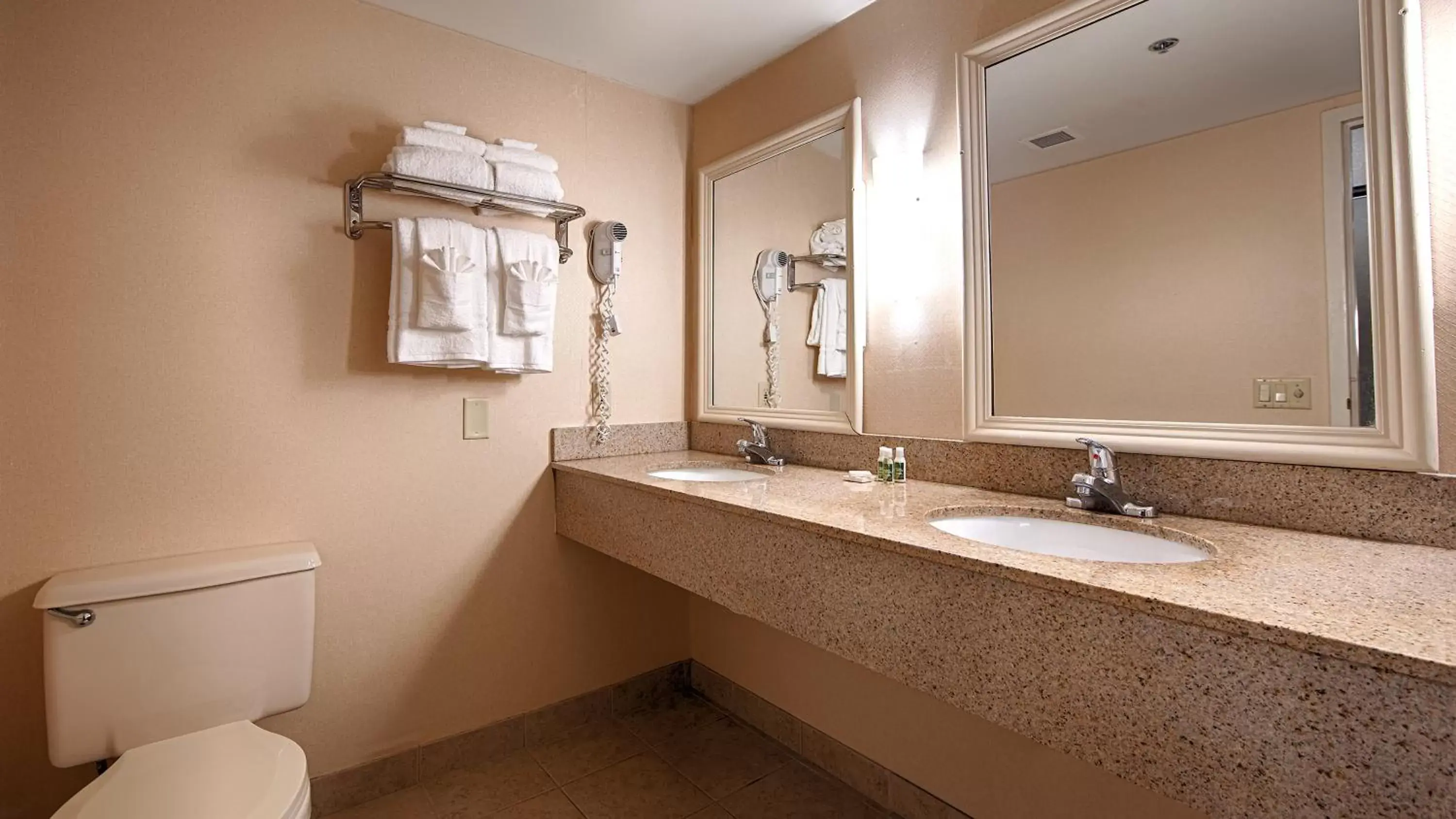 Toilet, Bathroom in Best Western University Inn