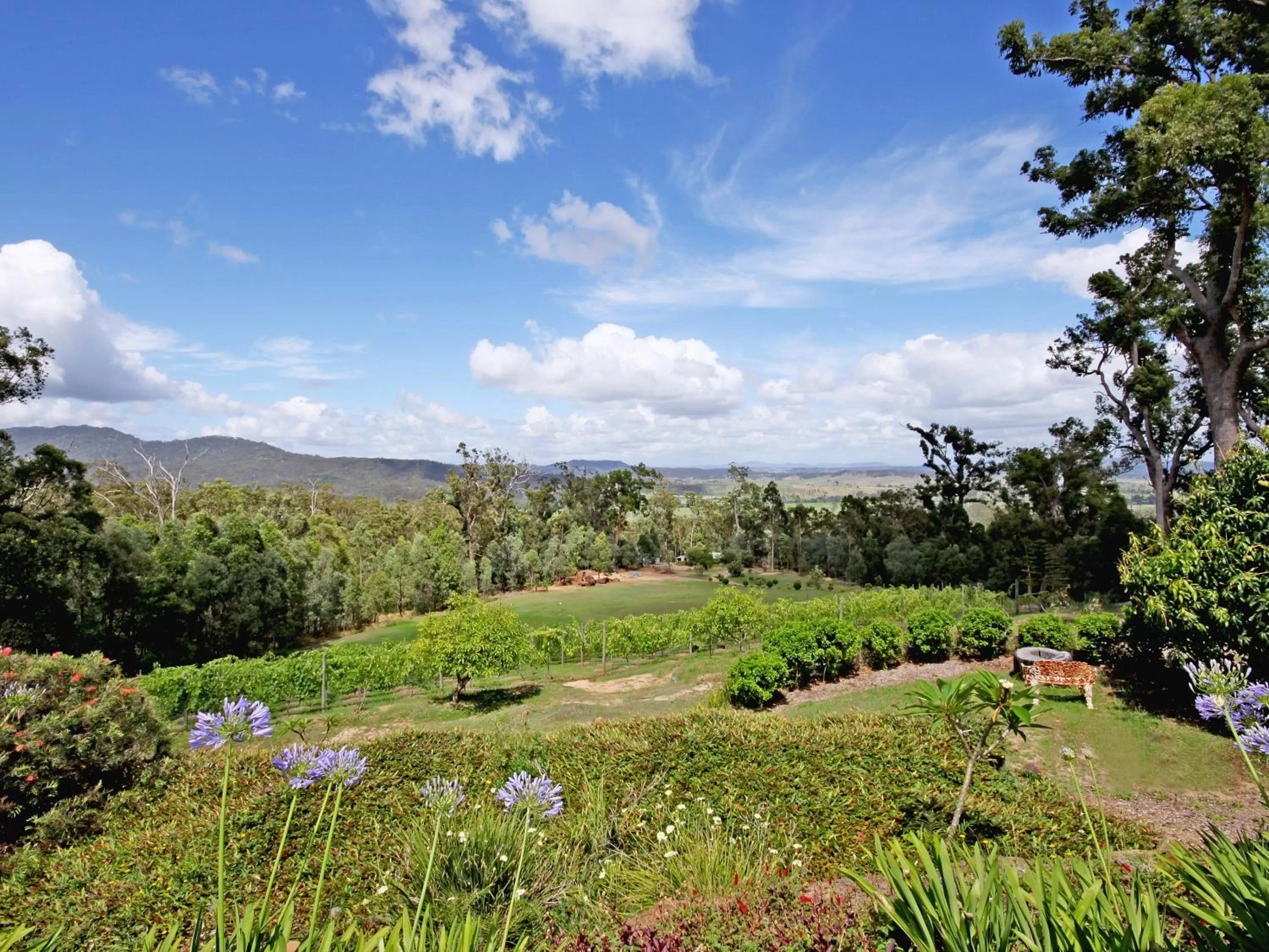 Garden in Wallaby Ridge Retreat