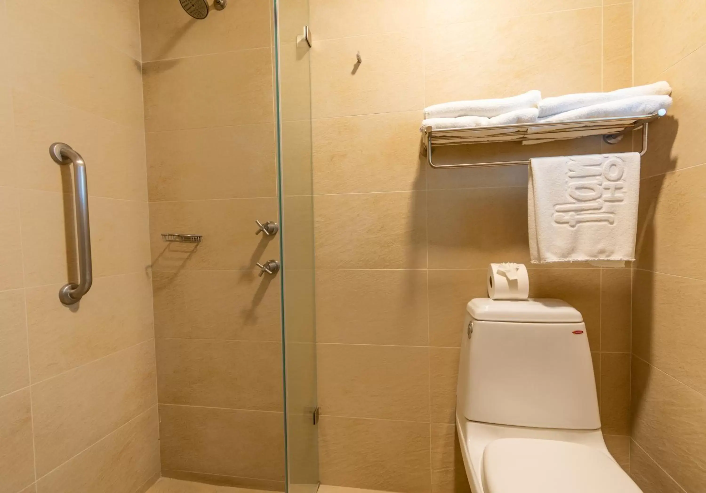 Shower, Bathroom in Hotel Flamingo Inn
