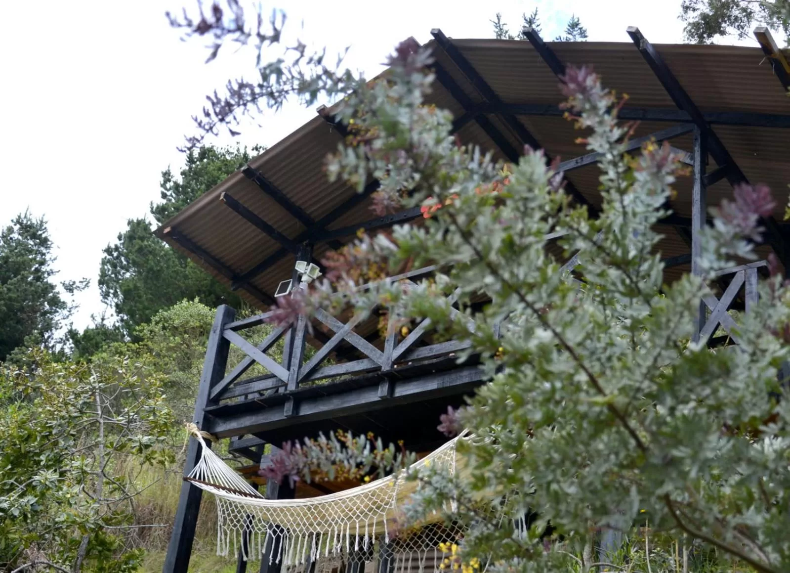 Mountain view, Property Building in El Pedregal Sopó