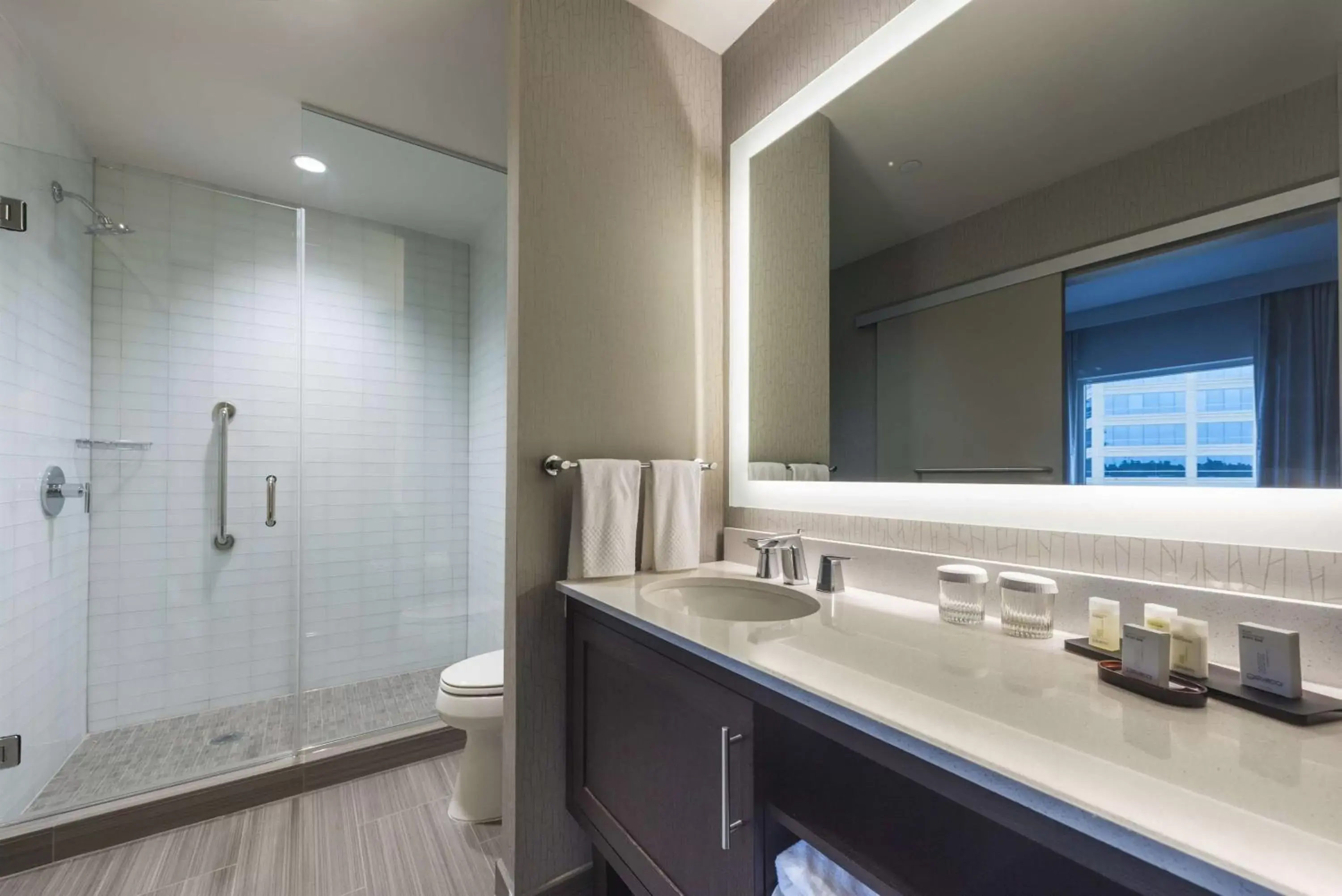 Bathroom in Embassy Suites by Hilton The Woodlands