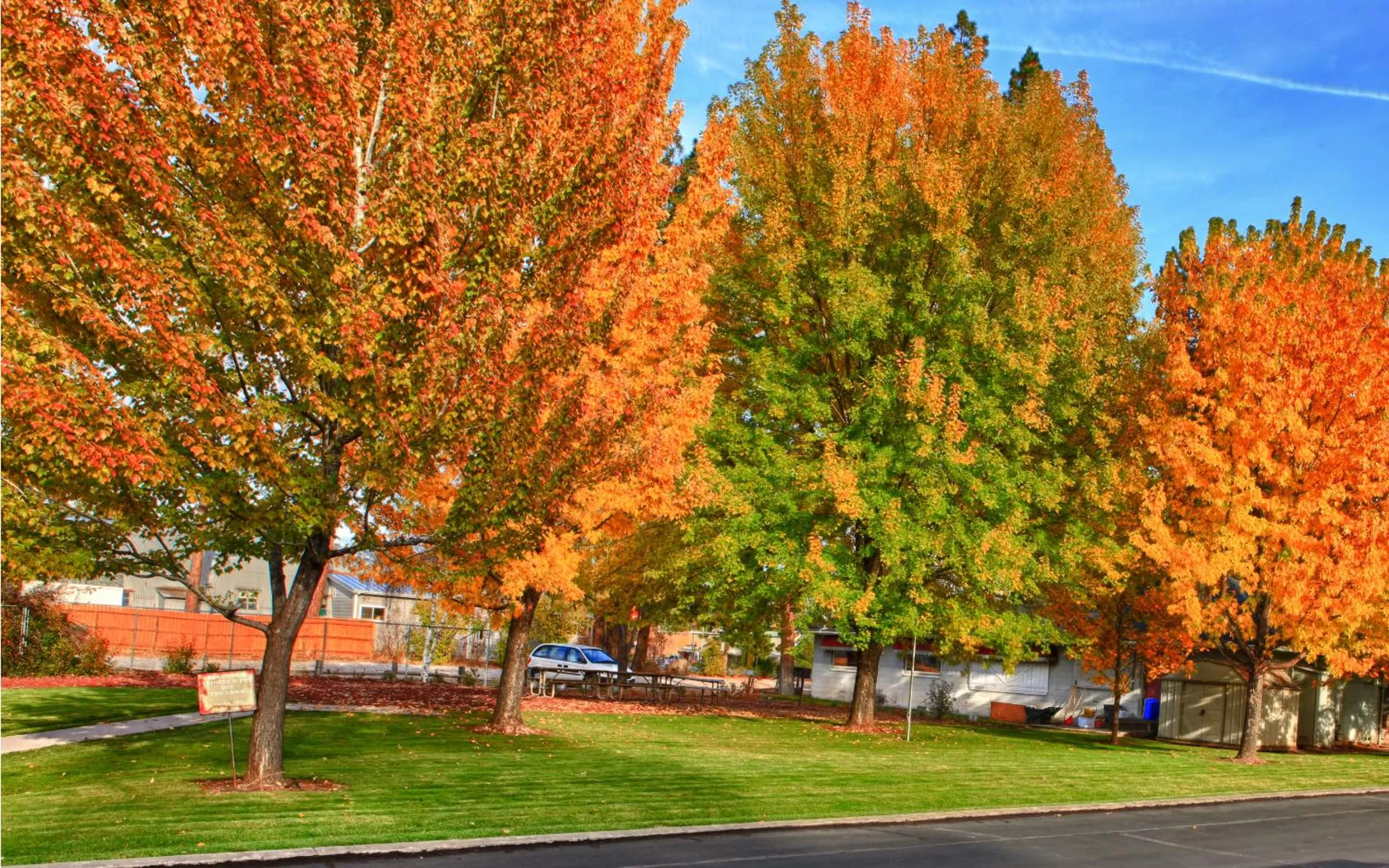 Day in Shasta Pines Motel & Suites