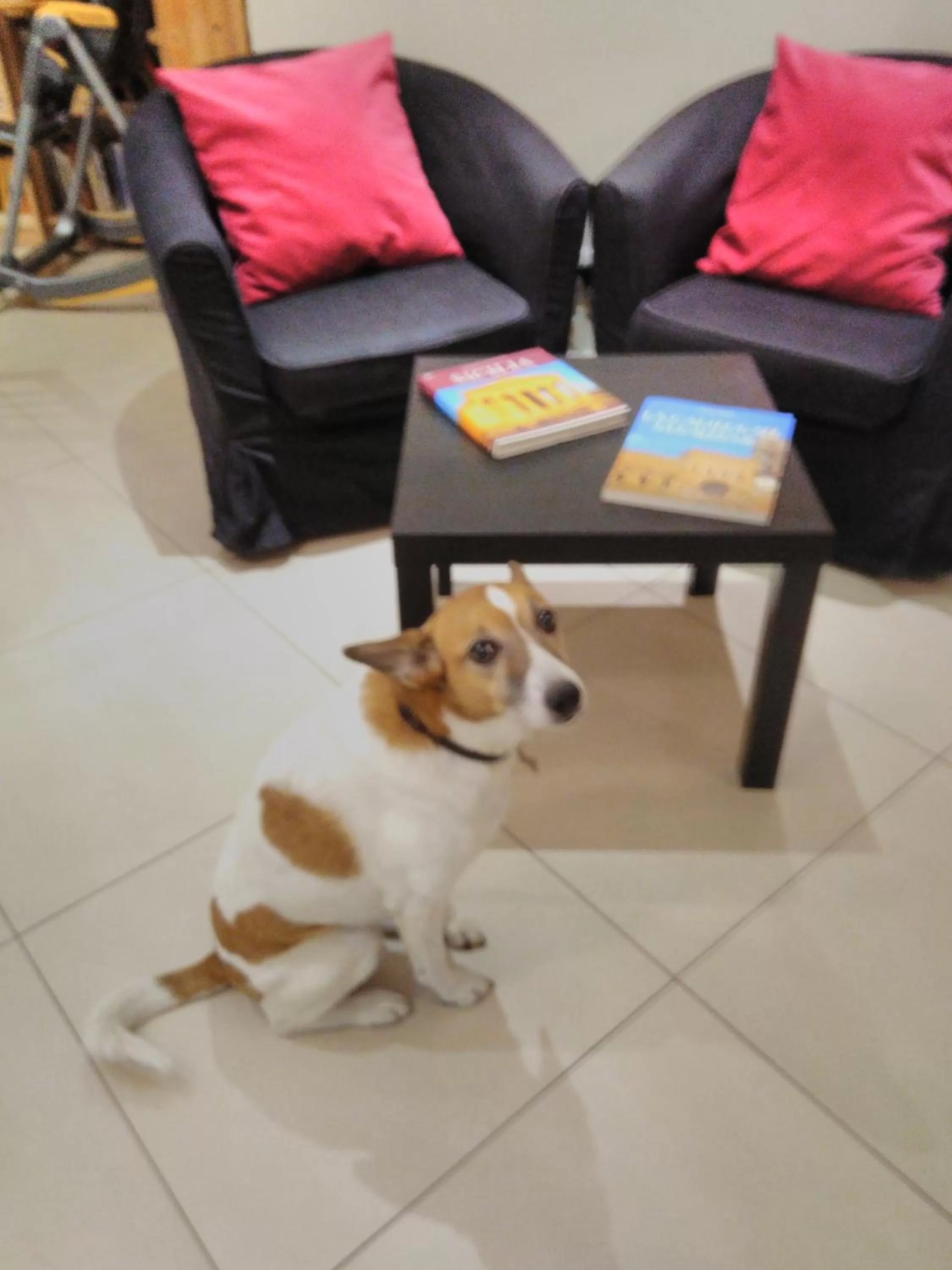 120 Rodionoff Centro- Eleganza e Facilità di Accesso a Aeroporto e Spiaggia Mondello