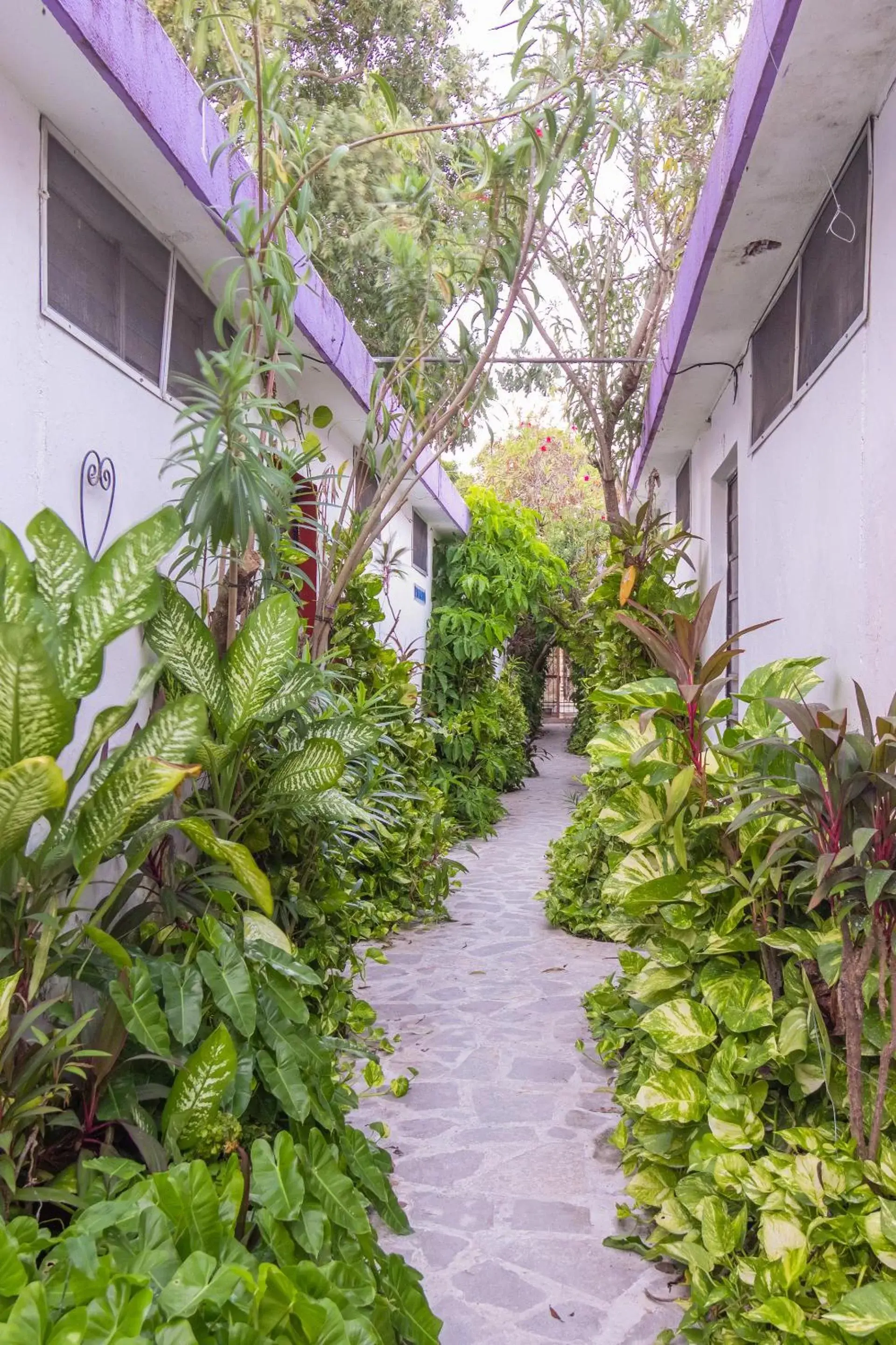 Garden, Property Building in Hotel Aventura