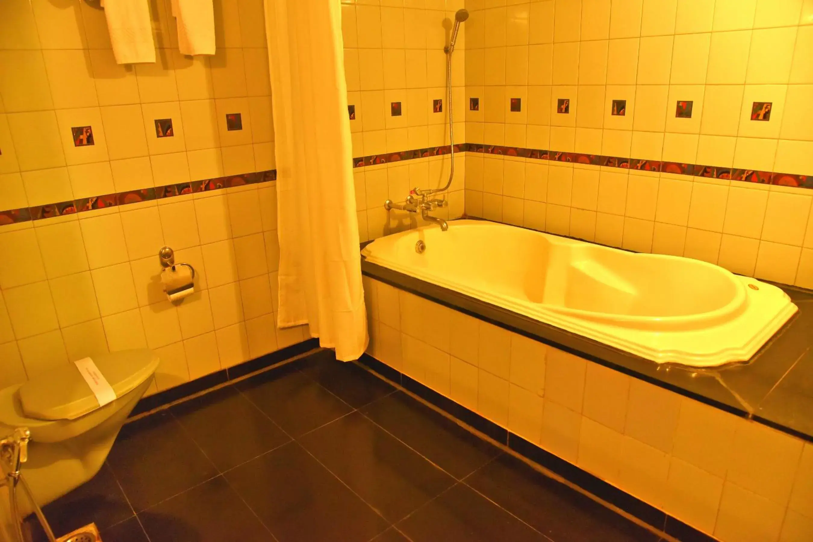 Hot Tub, Bathroom in Hotel Poonja International