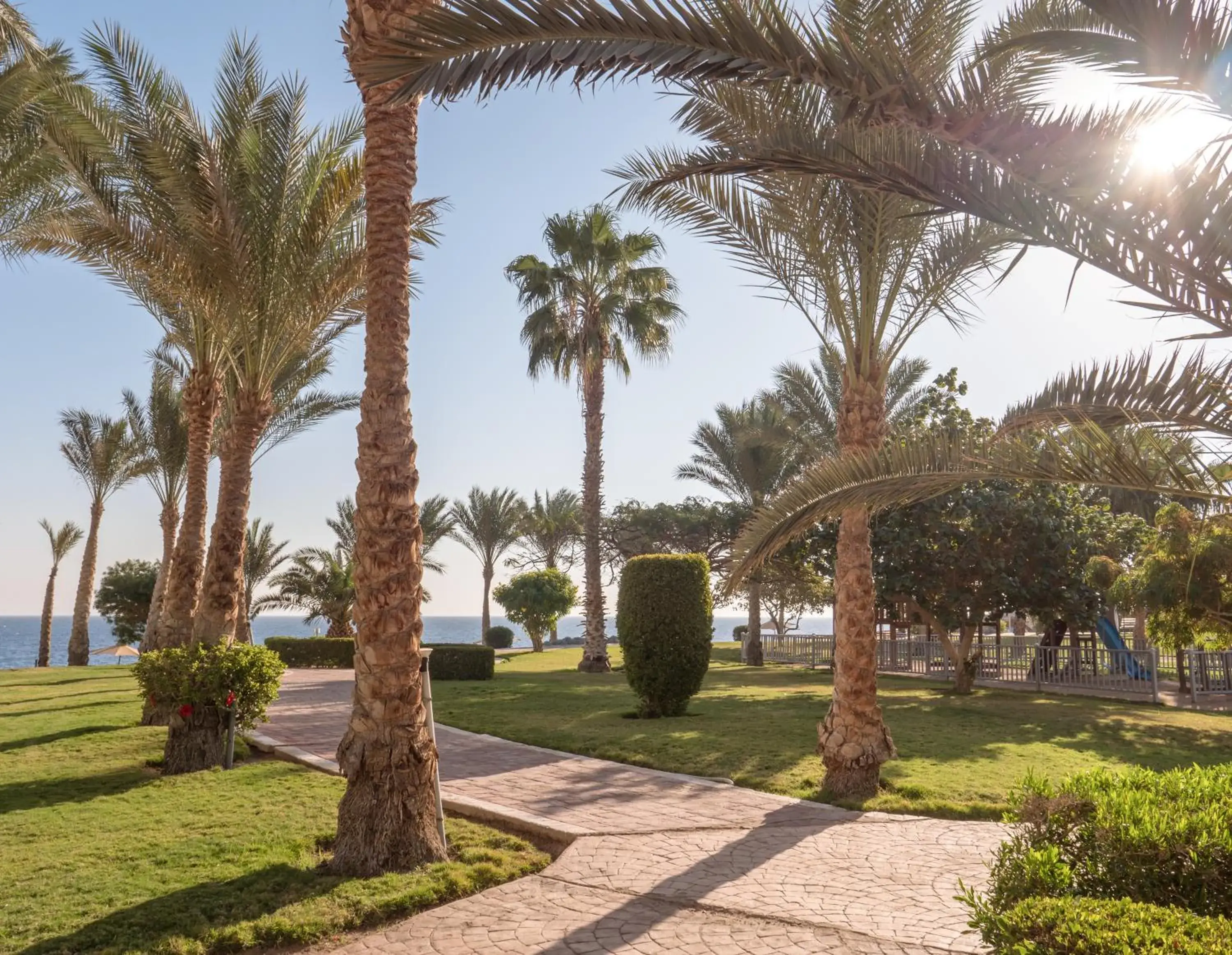 Garden in Serenity Makadi Beach