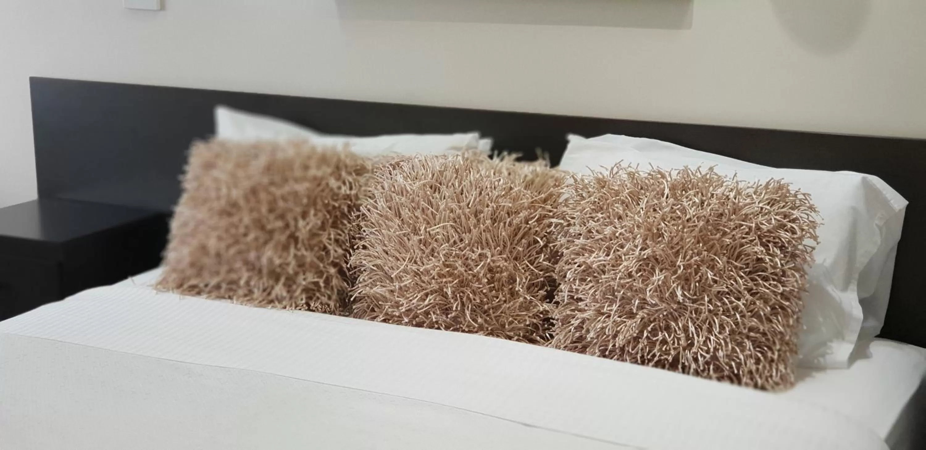 Winter in Hogans Motel