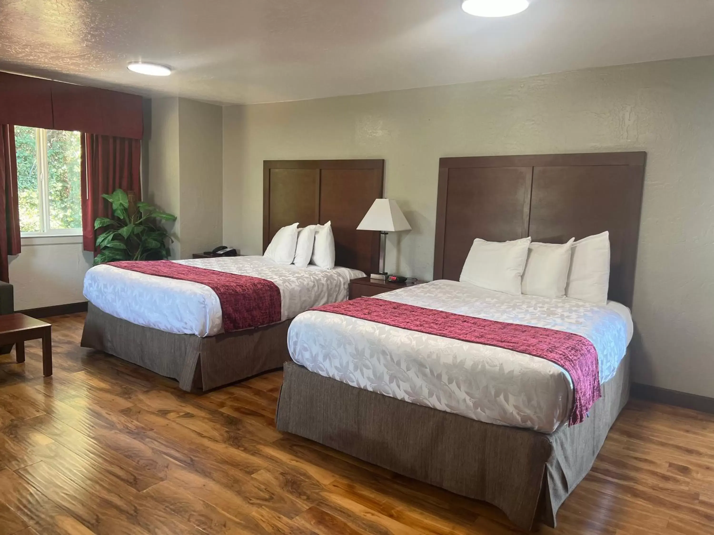 Photo of the whole room, Bed in Red Carpet Inn Medford