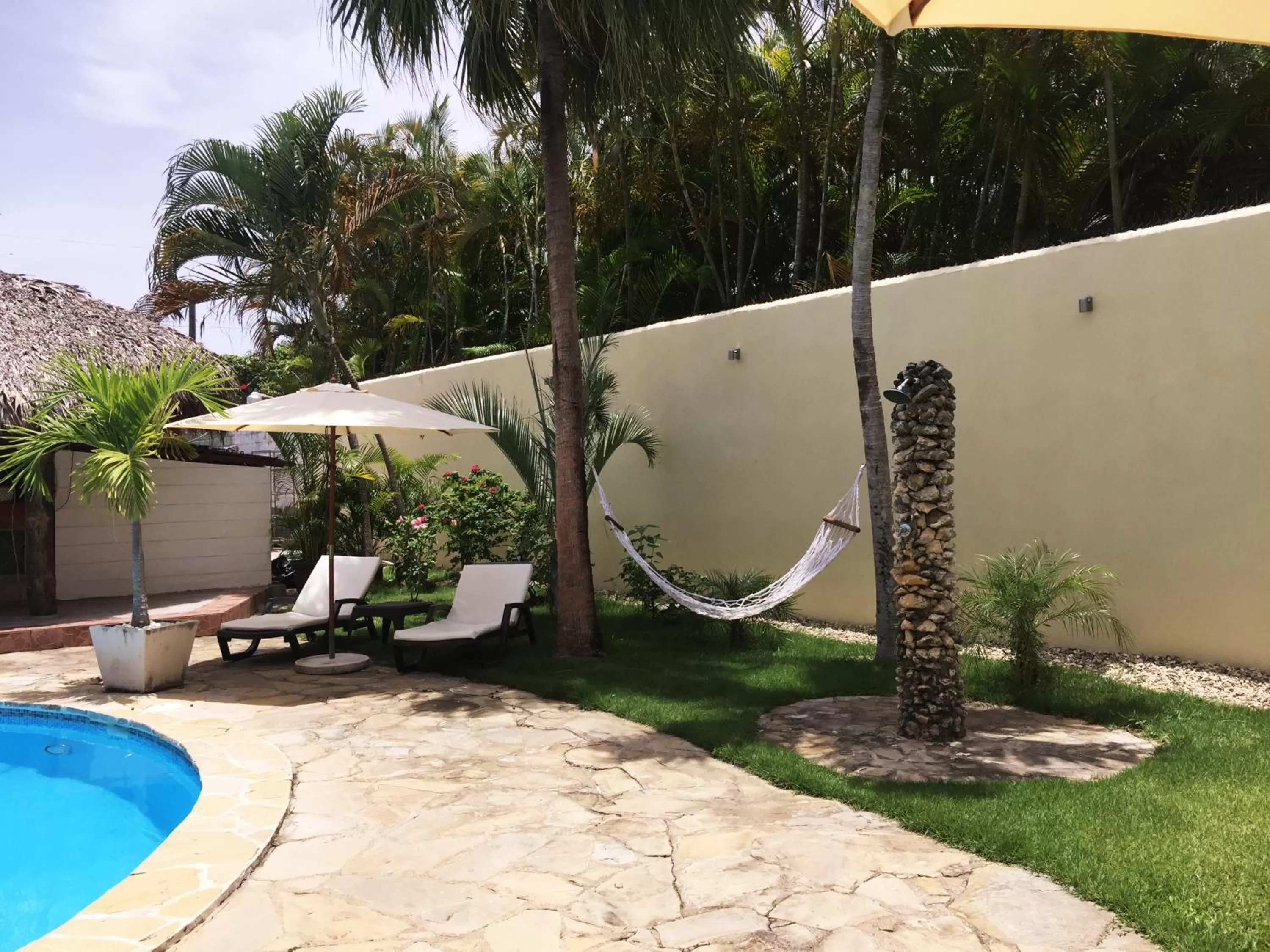 Garden view in Hotel Voramar