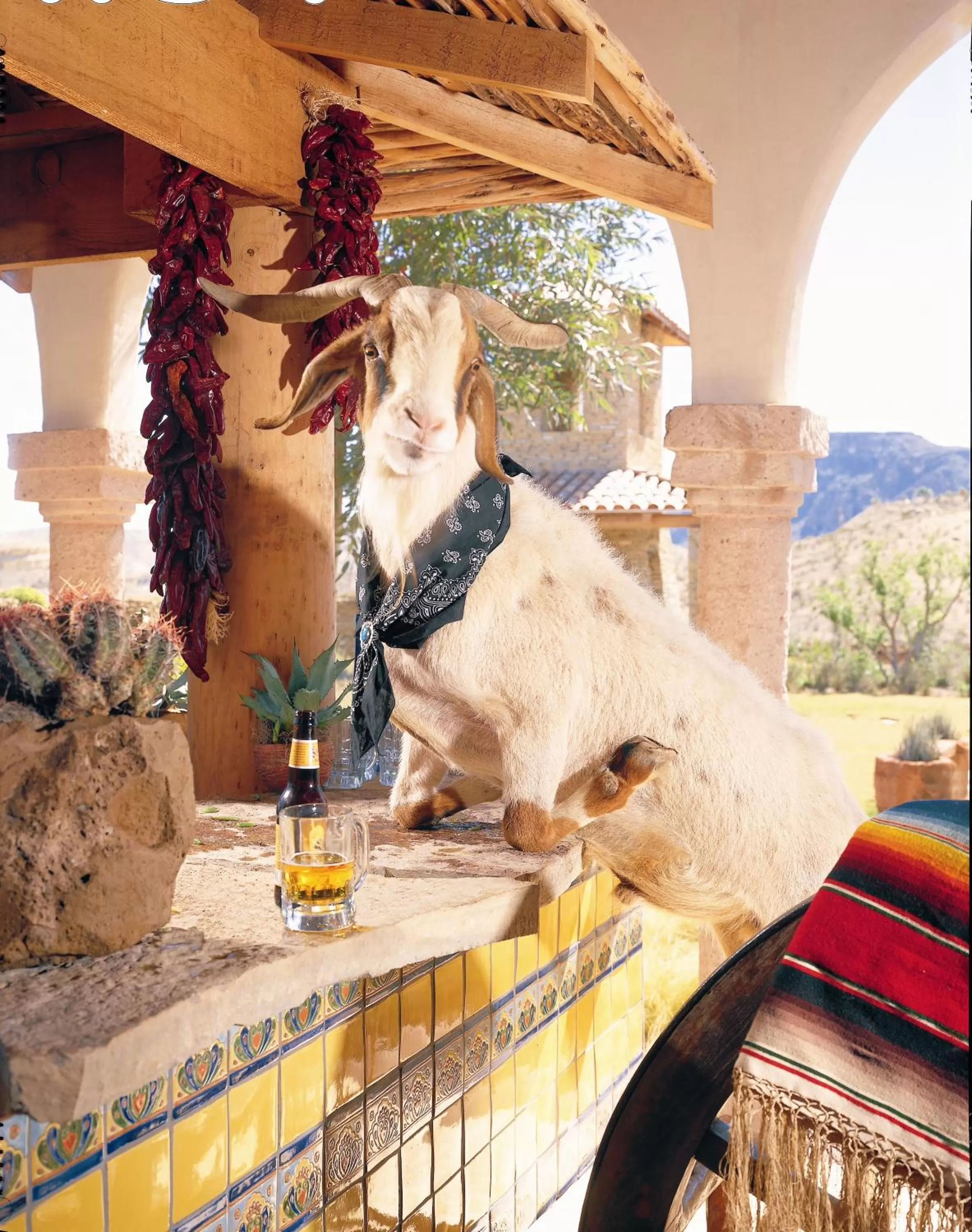Balcony/Terrace in Lajitas Golf Resort