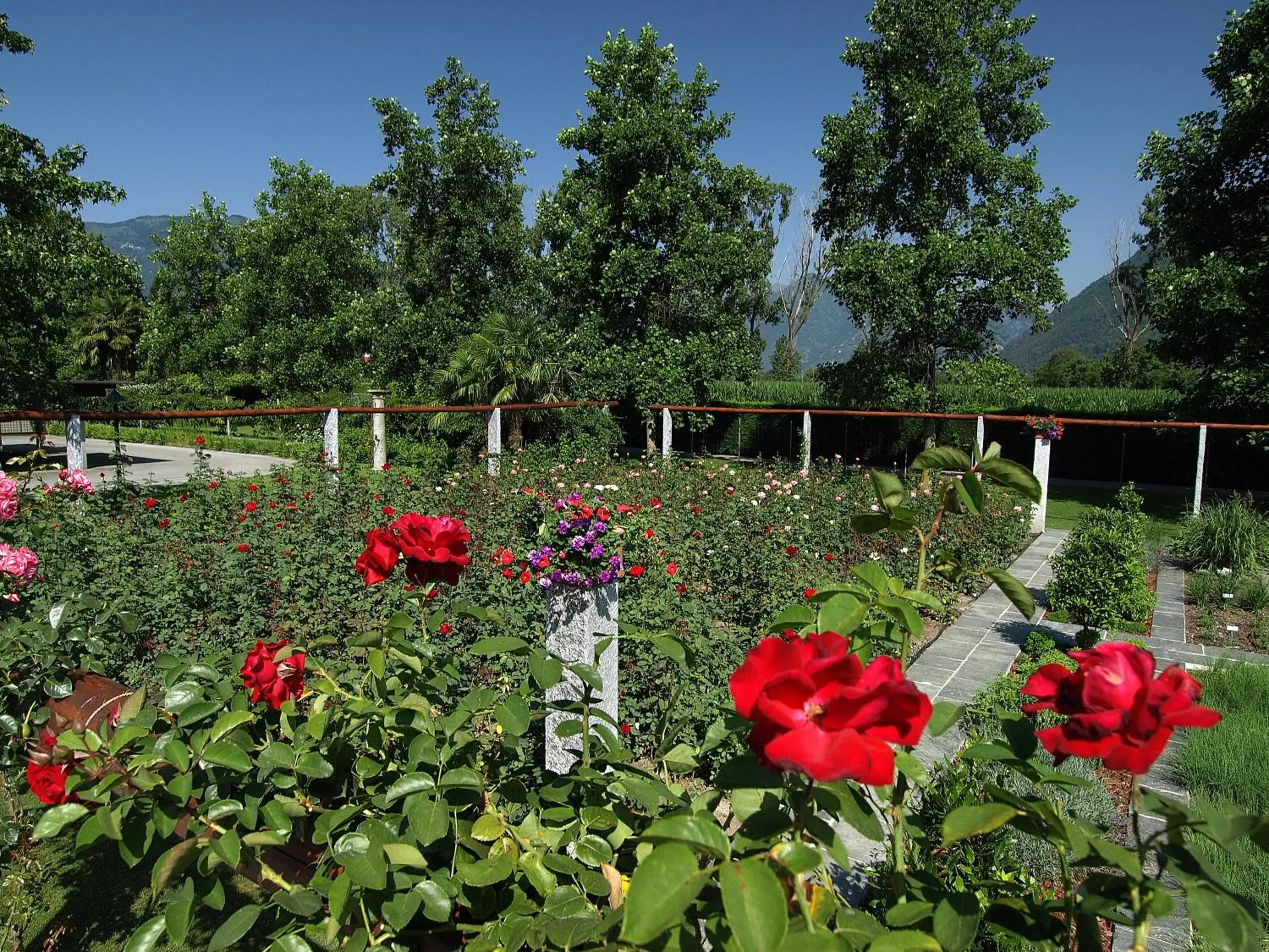 Garden in Castello del Sole Beach Resort&SPA