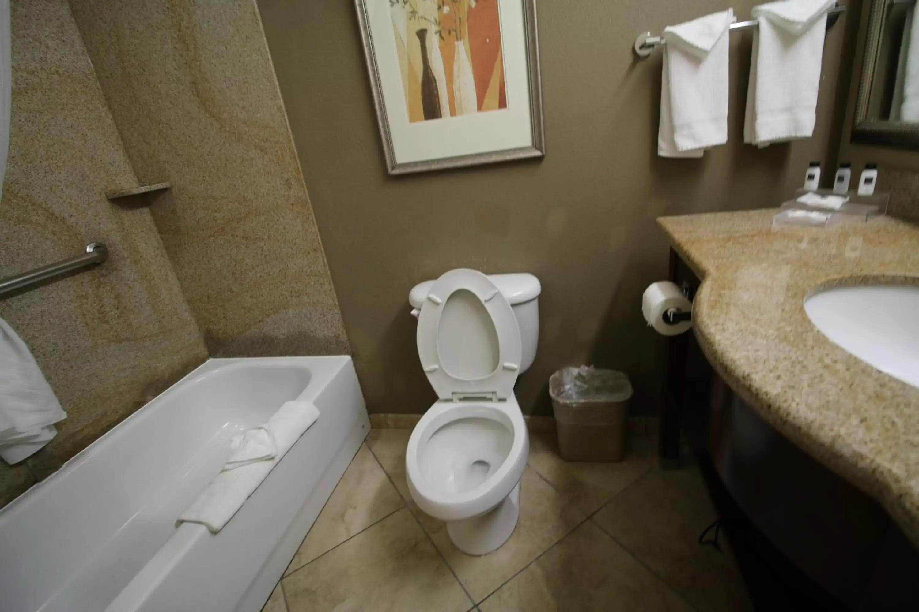 Bathroom in Seffner Inn and Suites