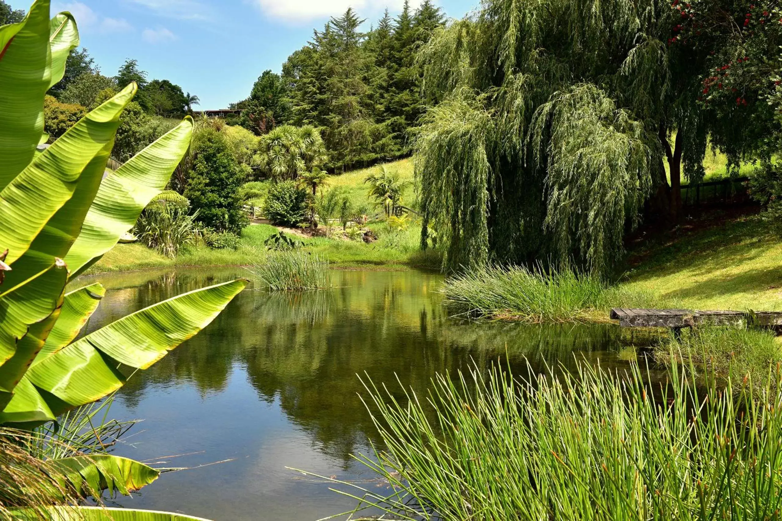 Natural landscape in Avalon Resort