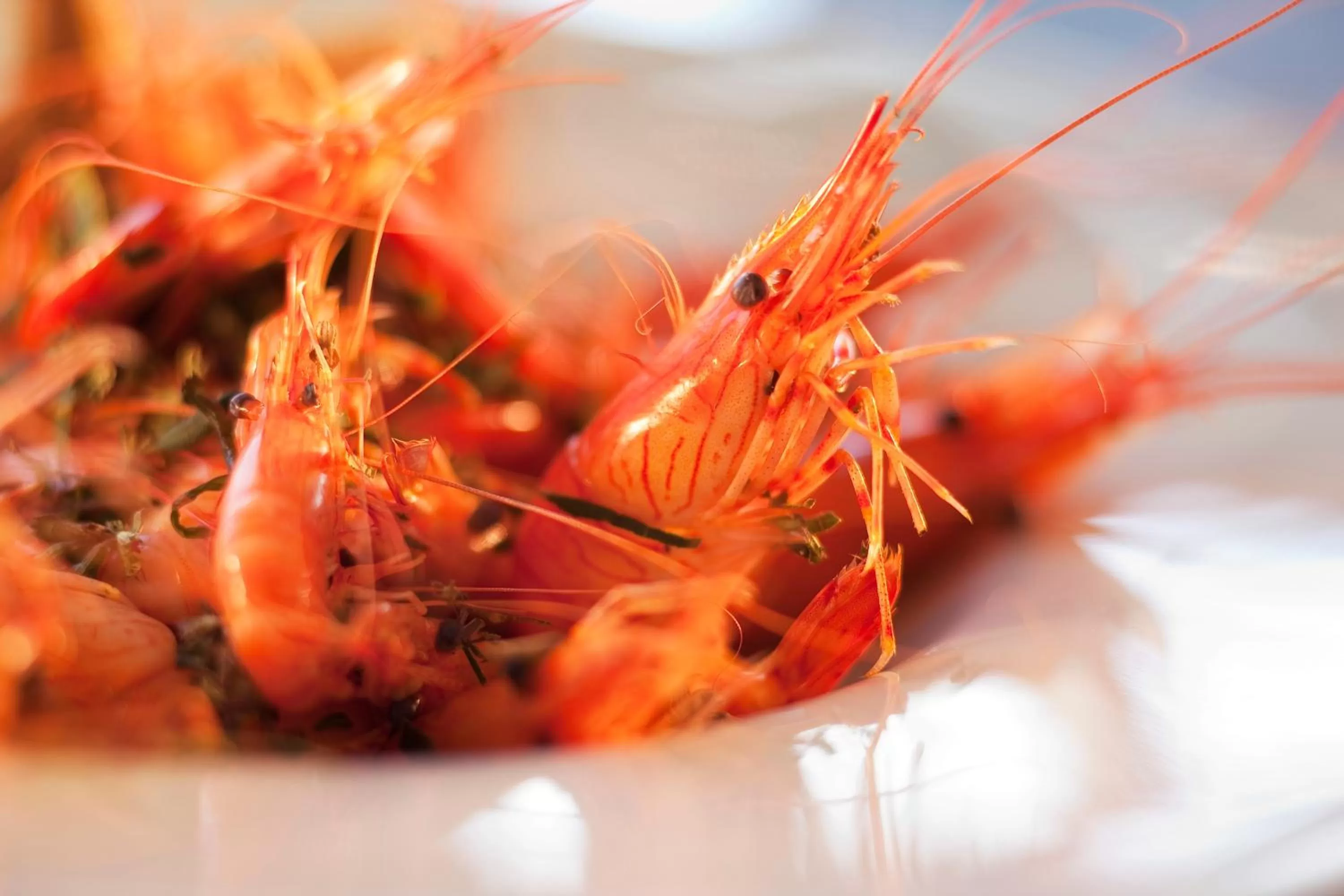 Restaurant/places to eat in Grand Hotel de L'Océan